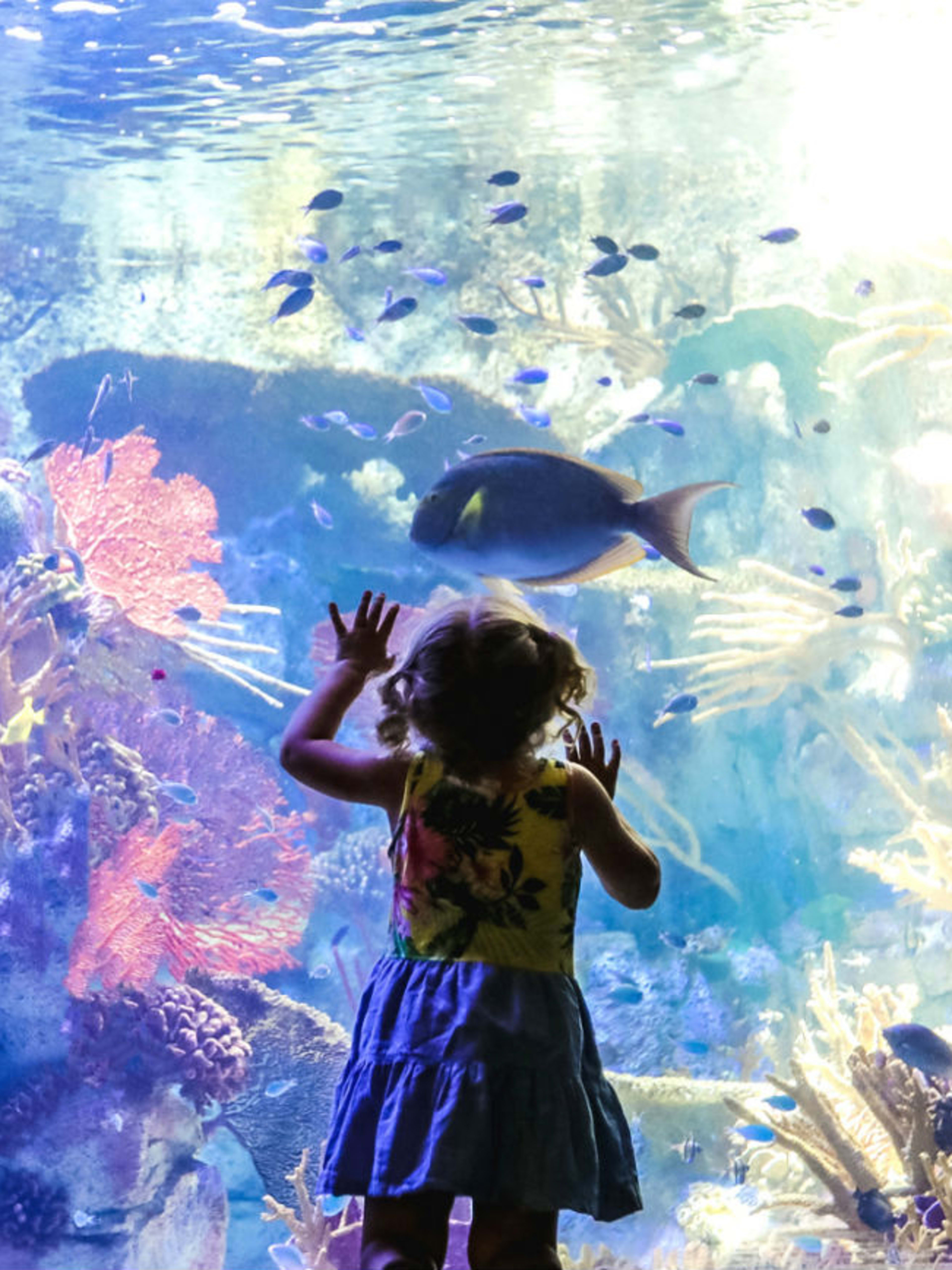 San Diego Birch Aquarium