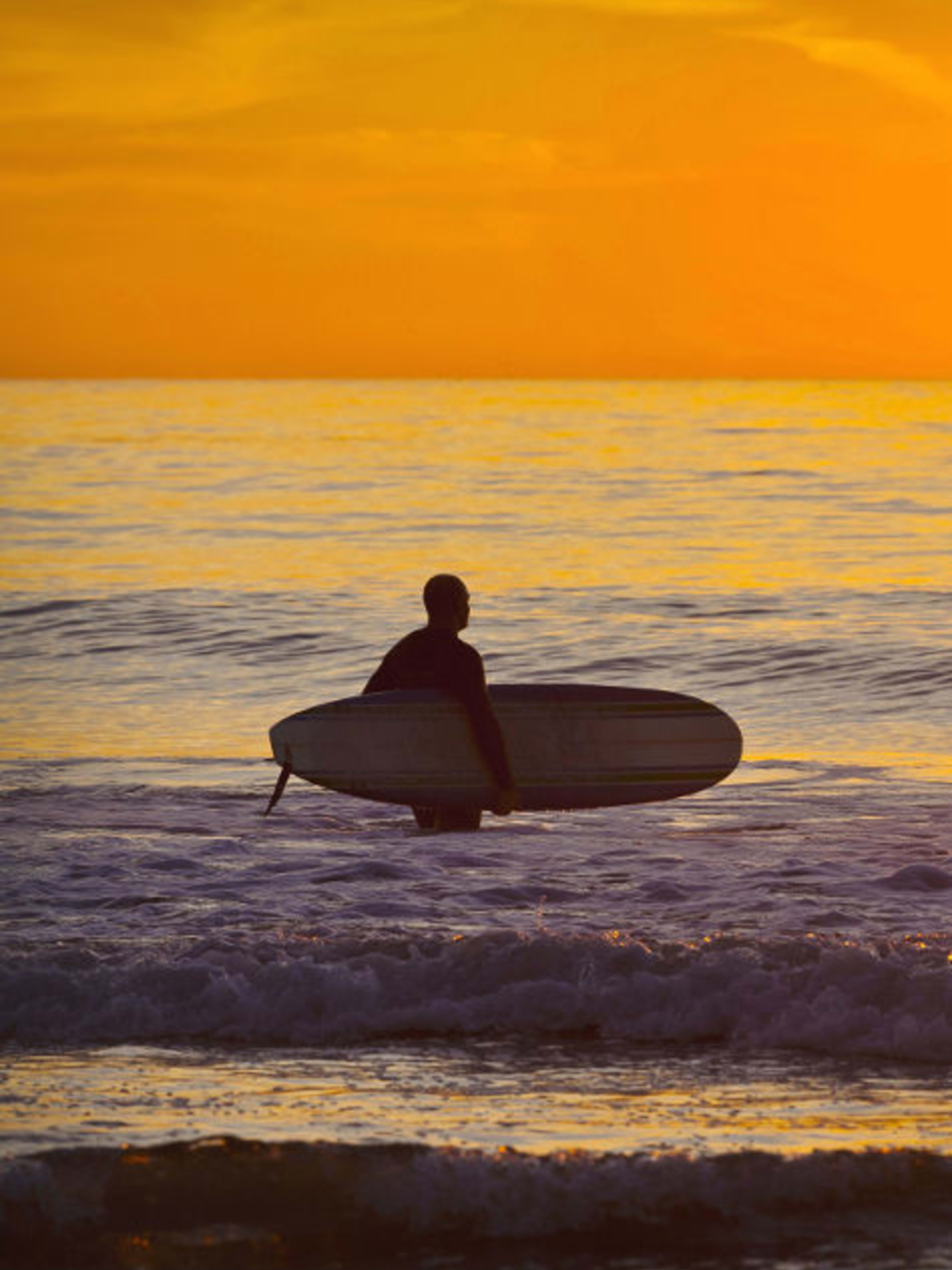 San Diego Attractions | Explore San Diego with Go City®