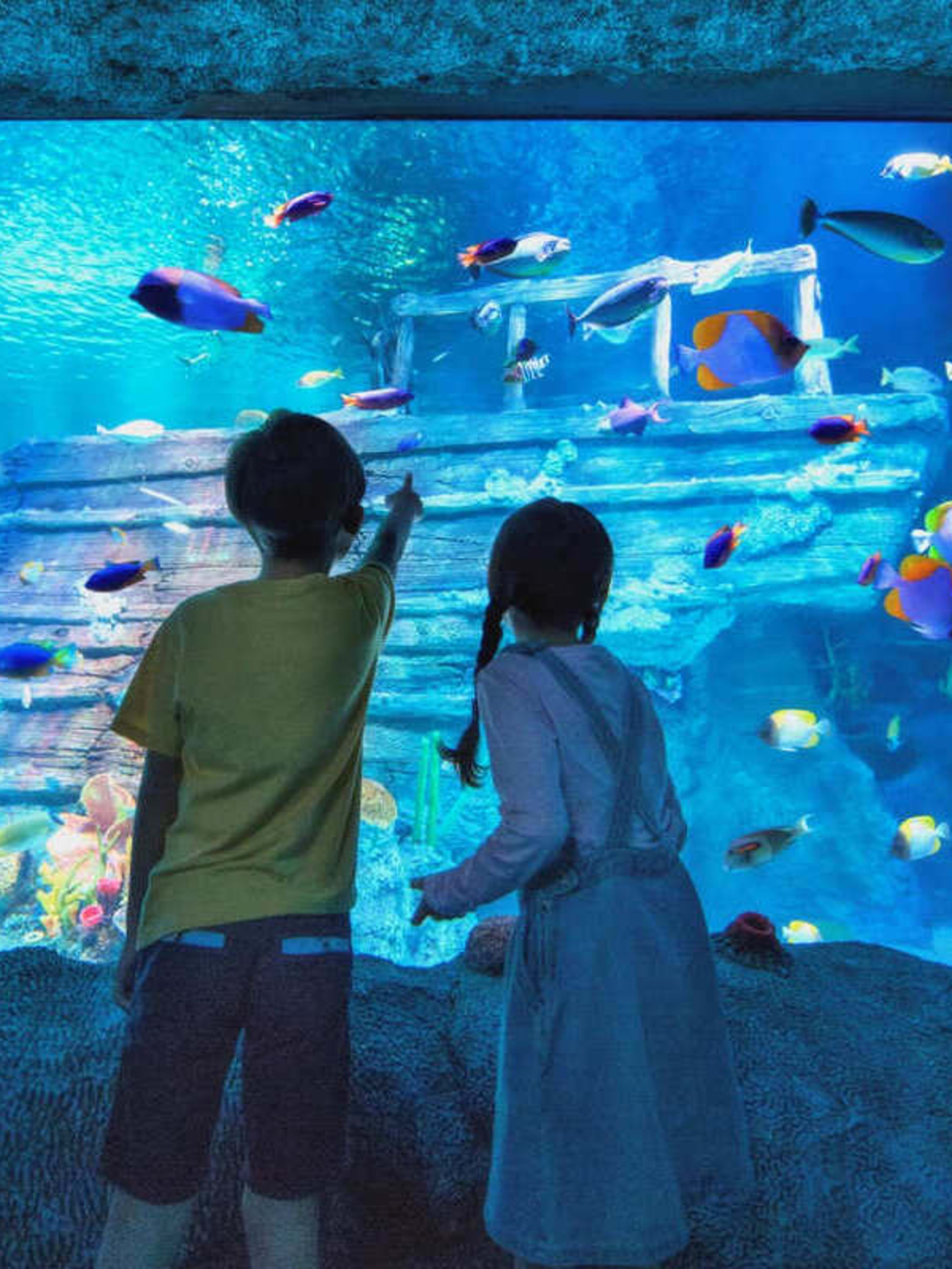 SEA LIFE Malaysia