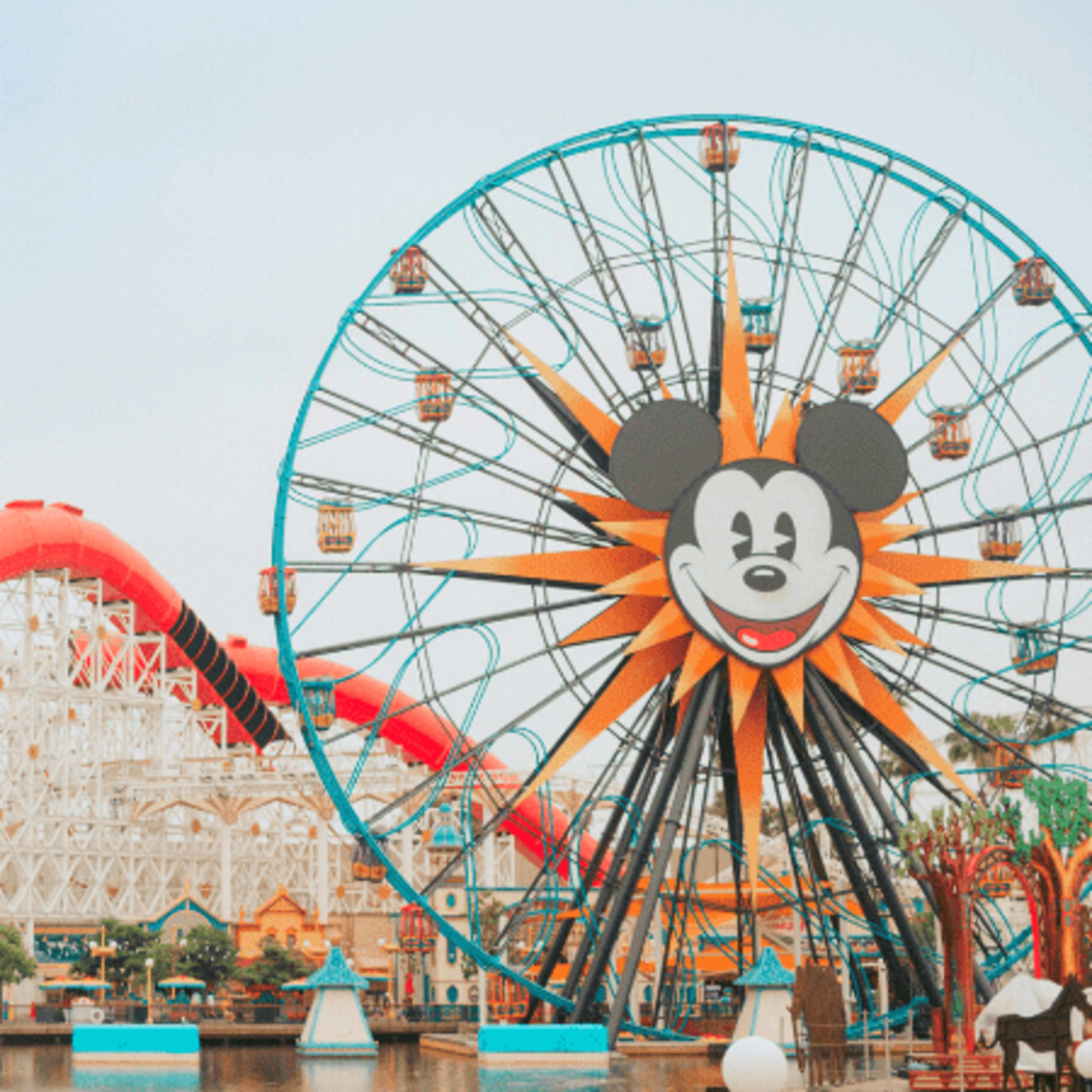 Disney and Universal