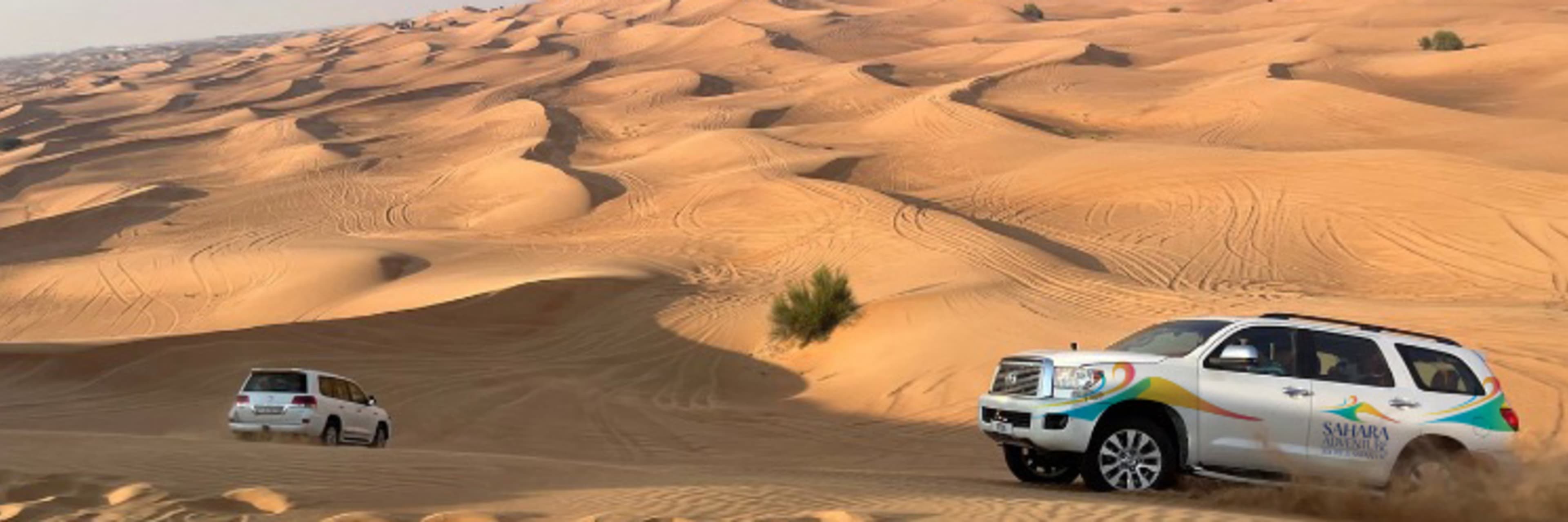 Morning Safari Car