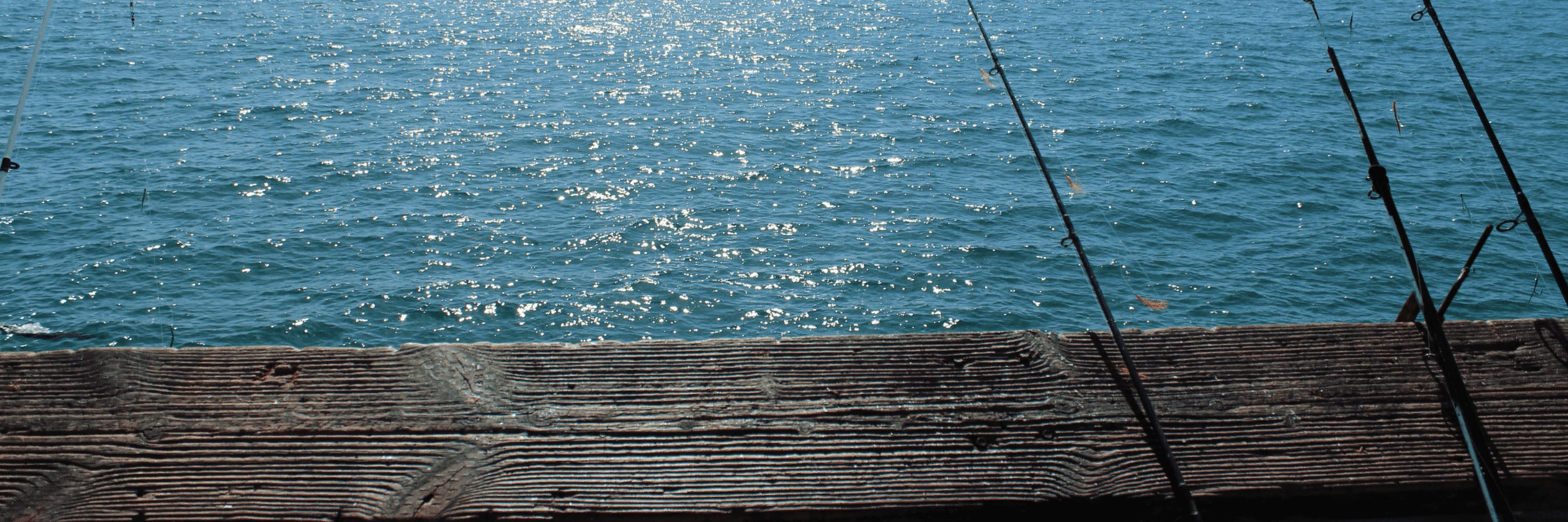 Pier Fishing