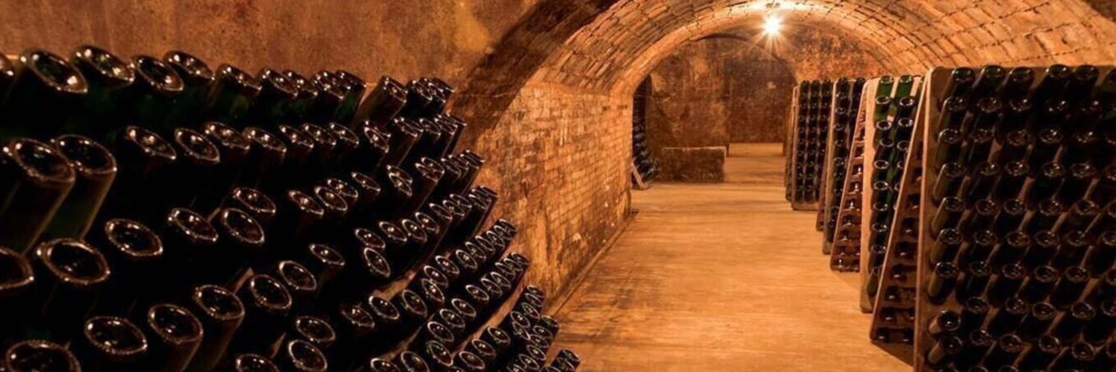 Vineyard & Wine Cellar Day Trip, Barcelona