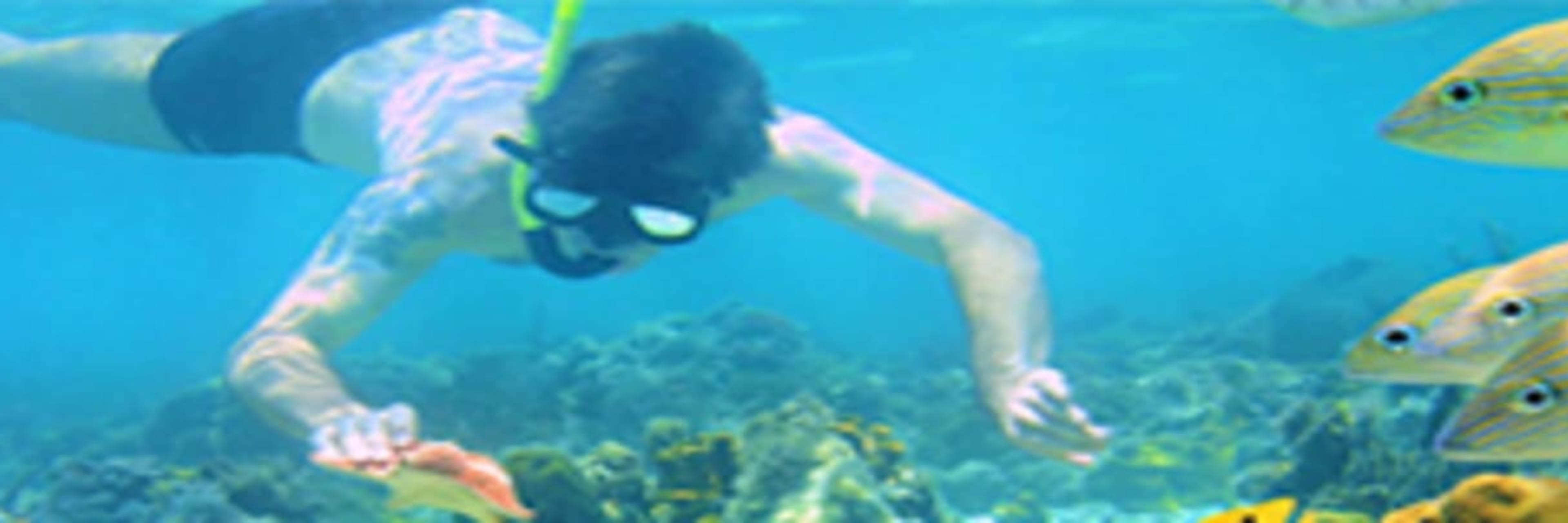 Cancun Extreme Adventure Snorkelling