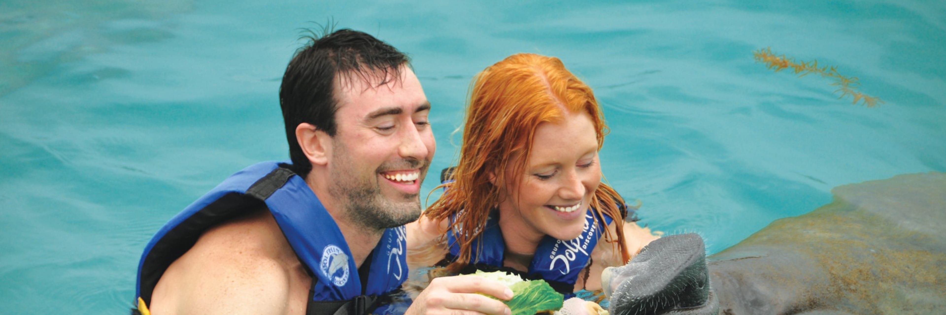 Manatee Encounter plus Sea Lion presentation with lunch and transportation at Cozumel