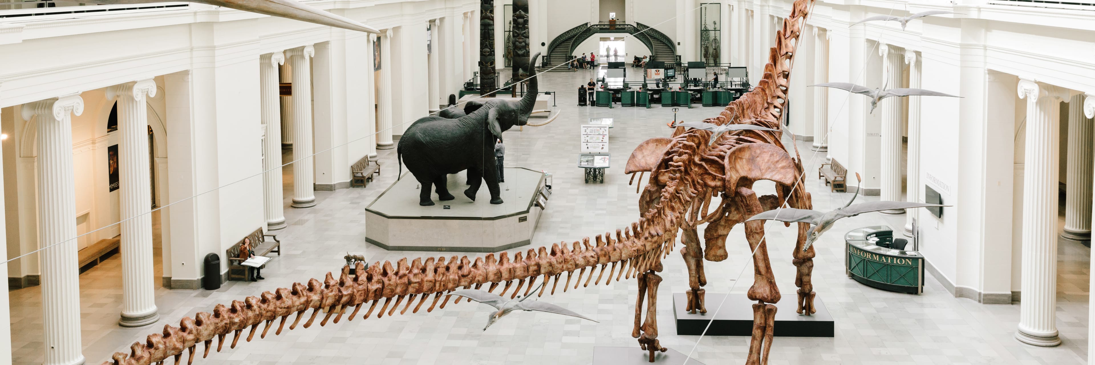 Field-Museum