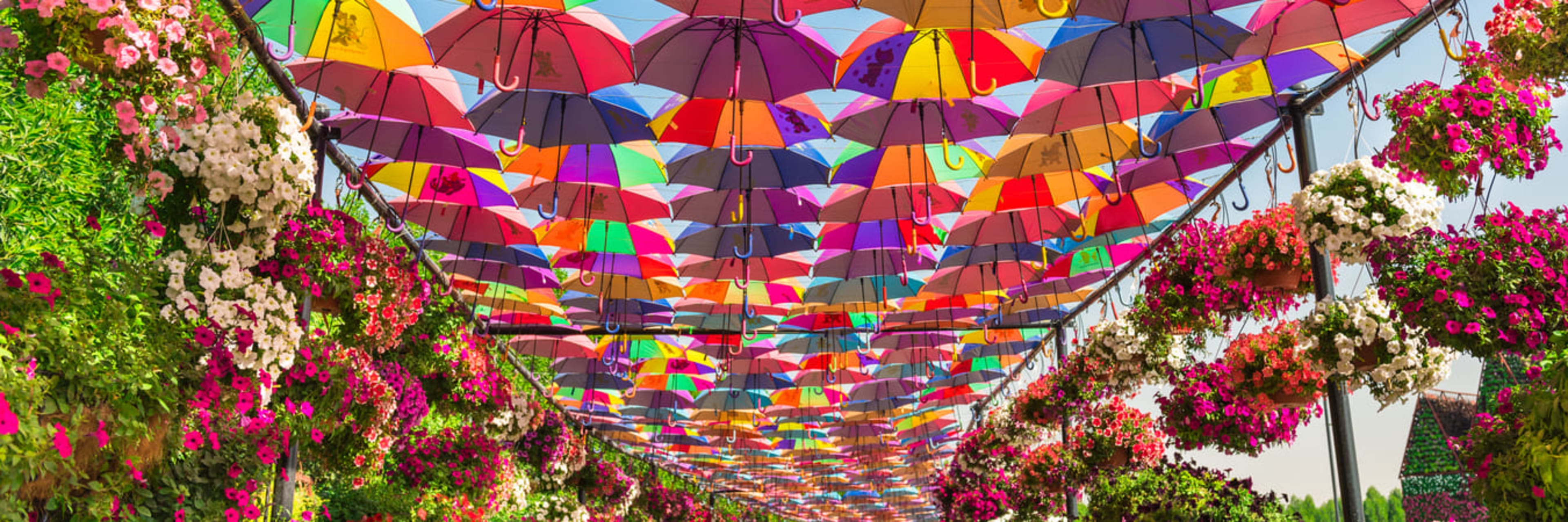 Dubai Miracle Garden