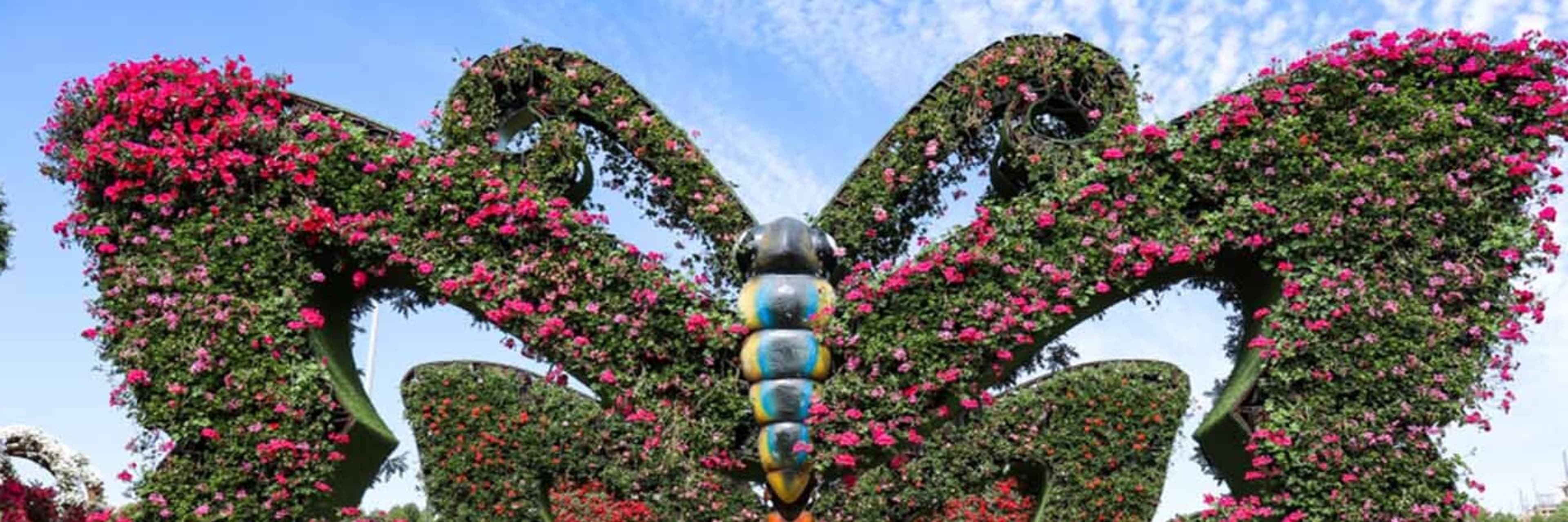 Dubai Butterfly Garden