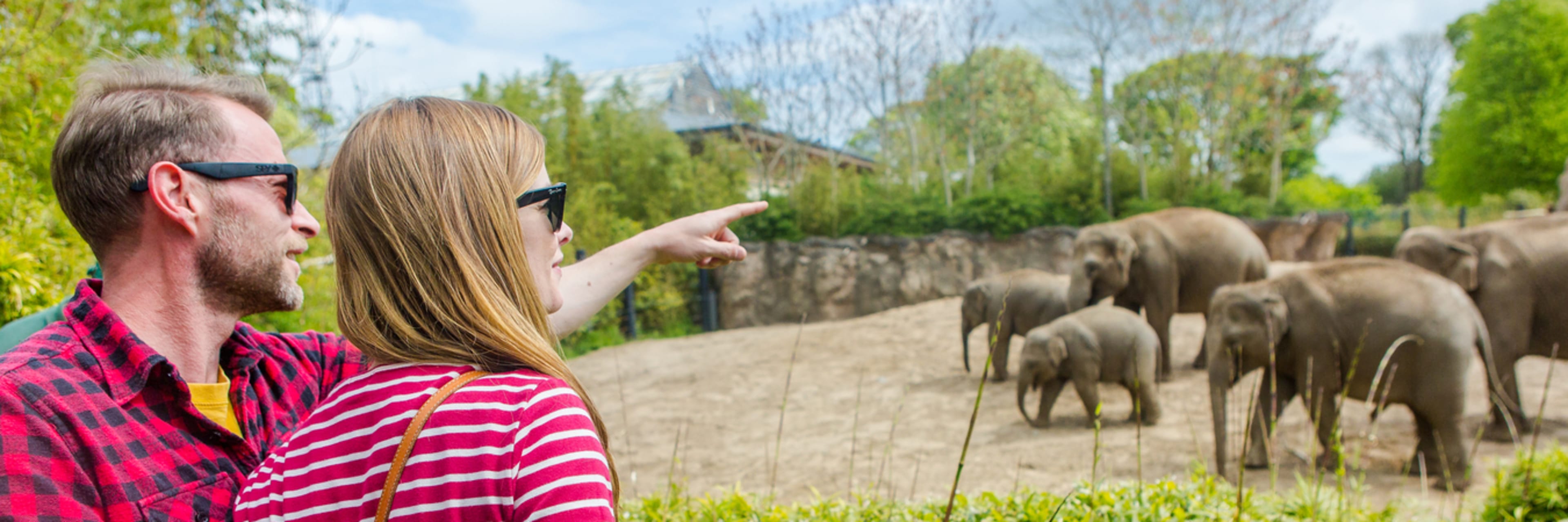 Dublin Zoo