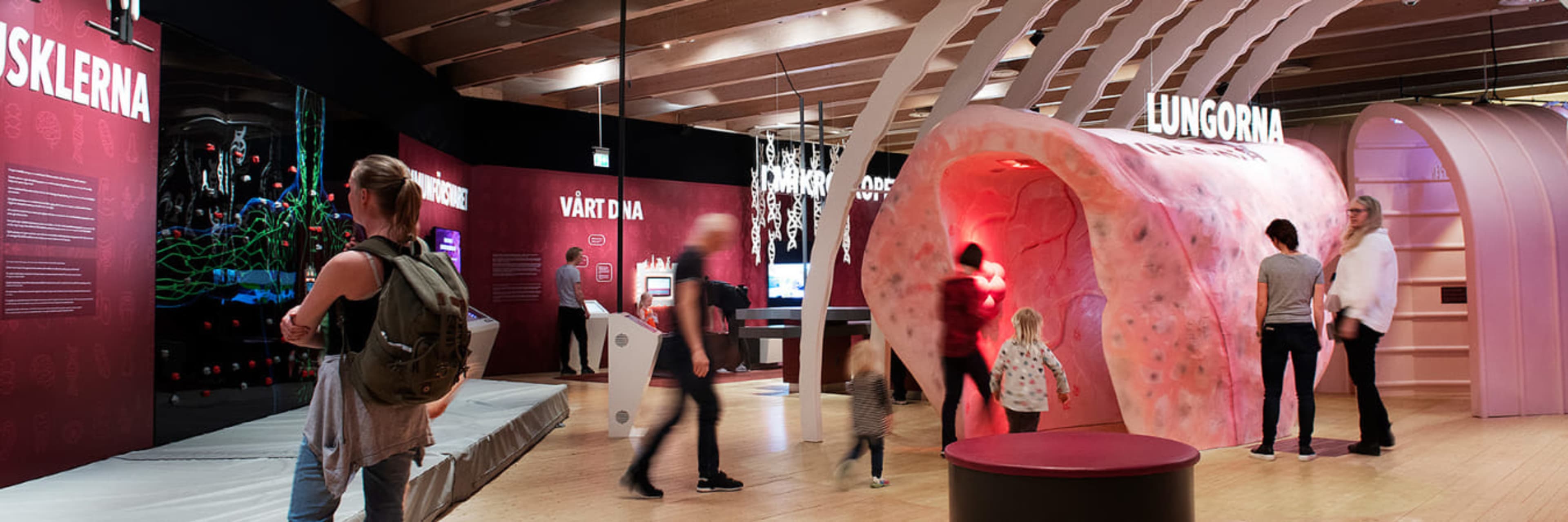 Visitors checking out exhibits at the Universeum in Gothenburg.