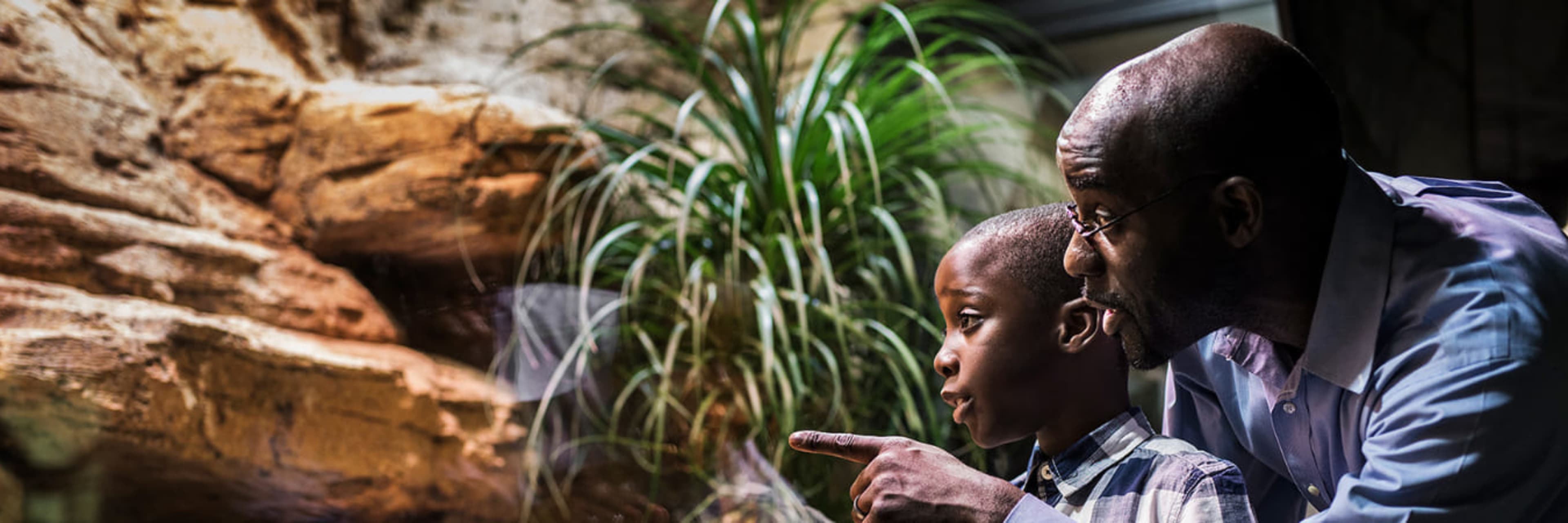 Parent and child enjoying a exhibit at the Universeum in Gothenburg.