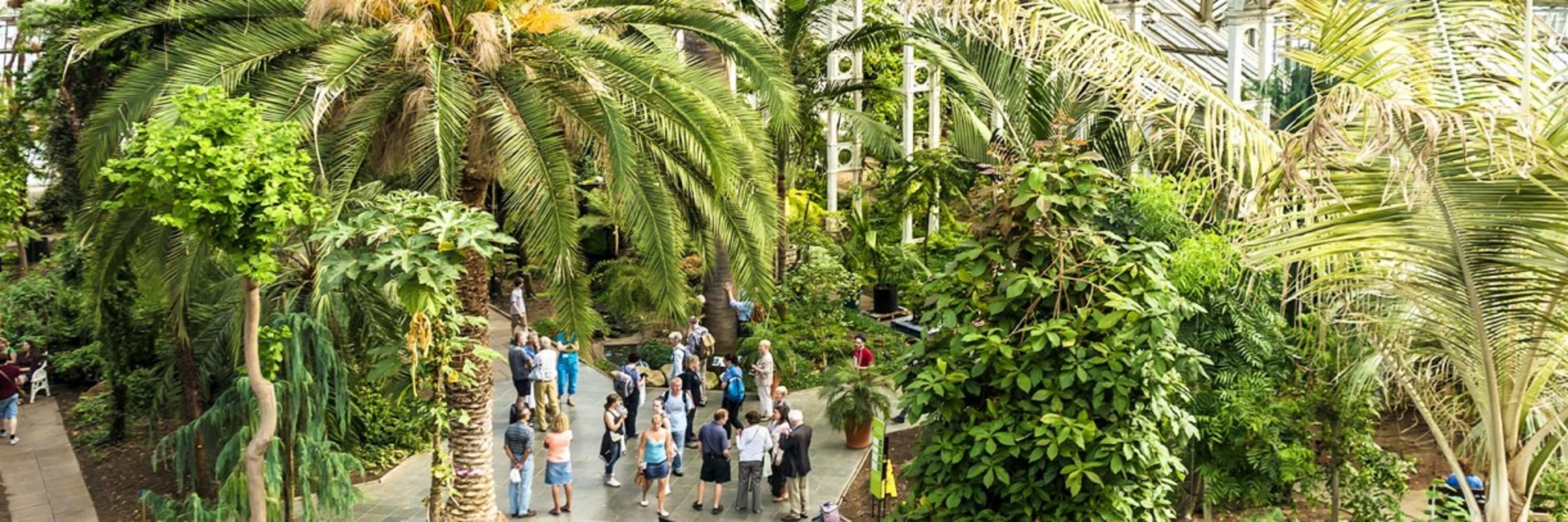 Kew Gardens London Tickets Included with The London Pass