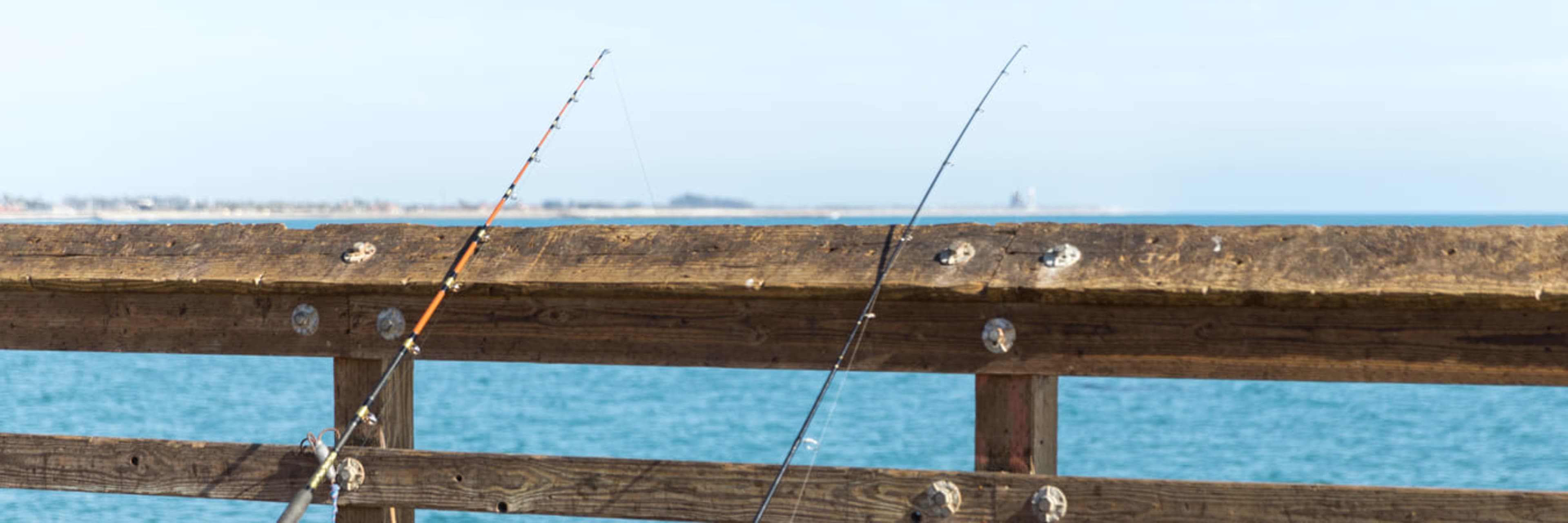 Pier Fishing, Los Angeles