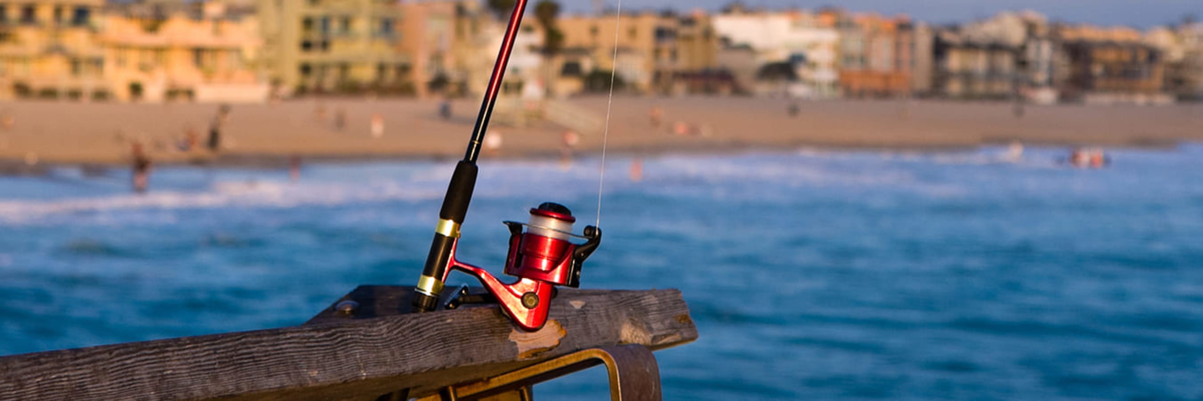 Guided Pier Fishing, Los Angeles