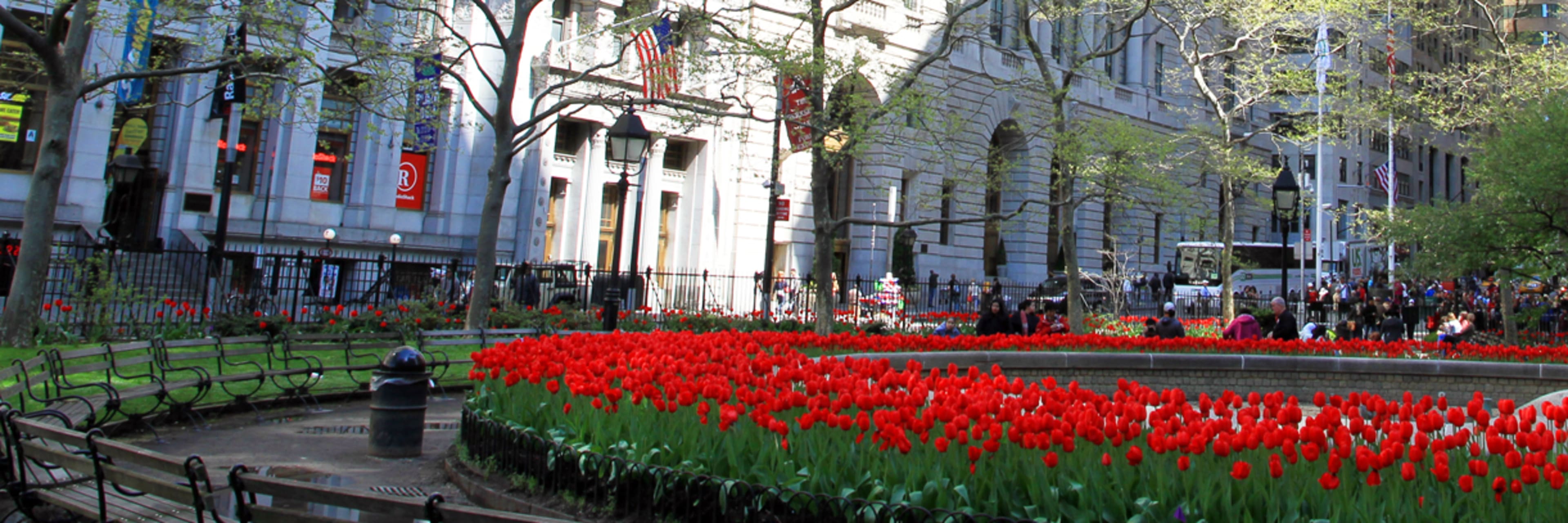 NYC Slavery and Underground Railroad Tour