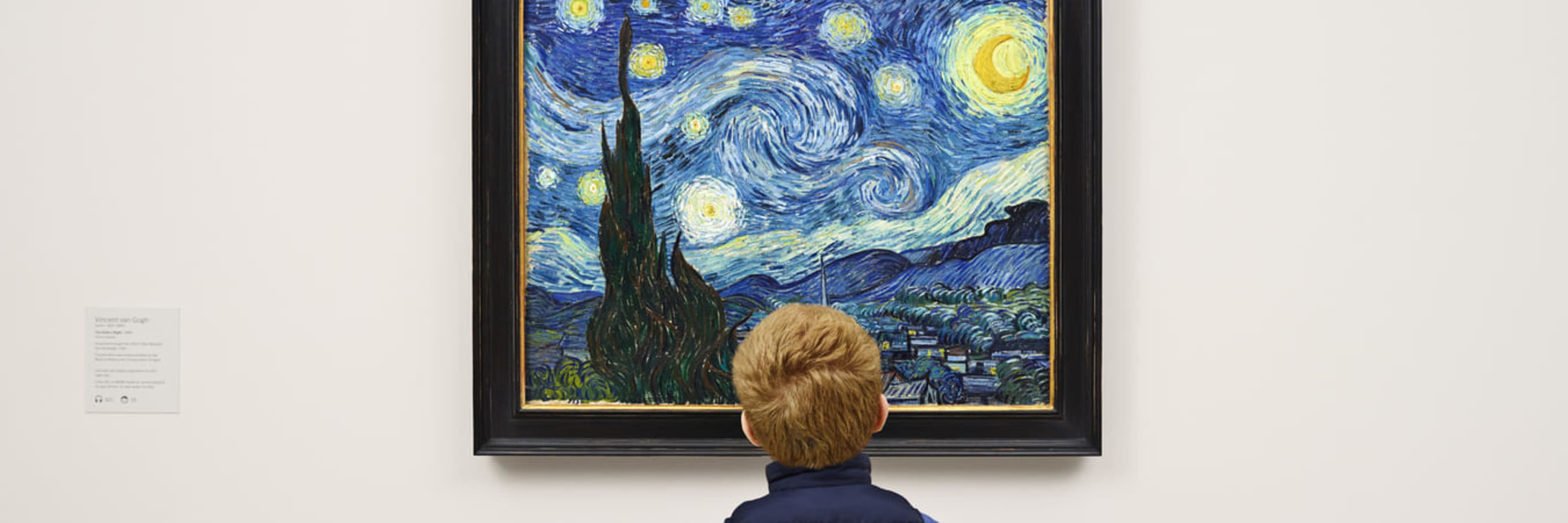 MoMA Starry Night