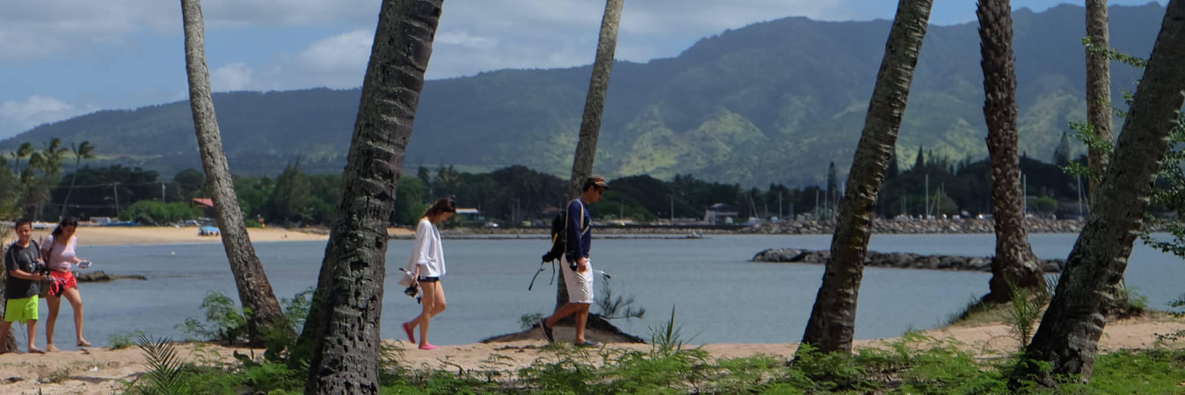 People exploring a beach in Hawaii.