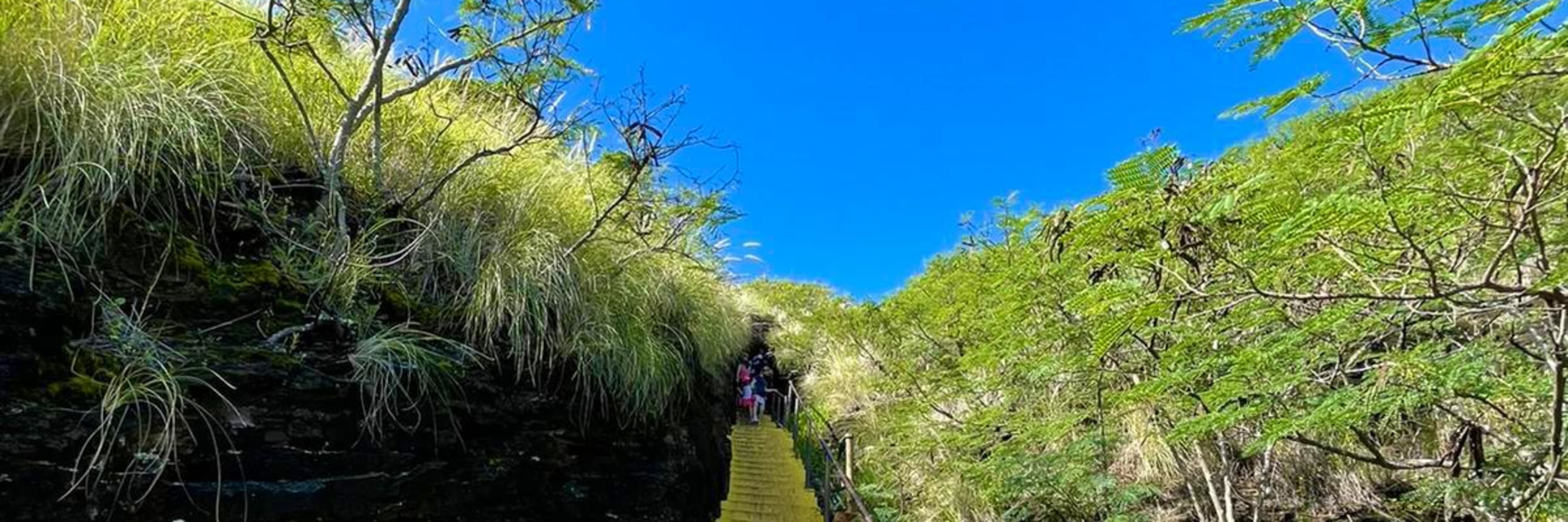 Diamond Head