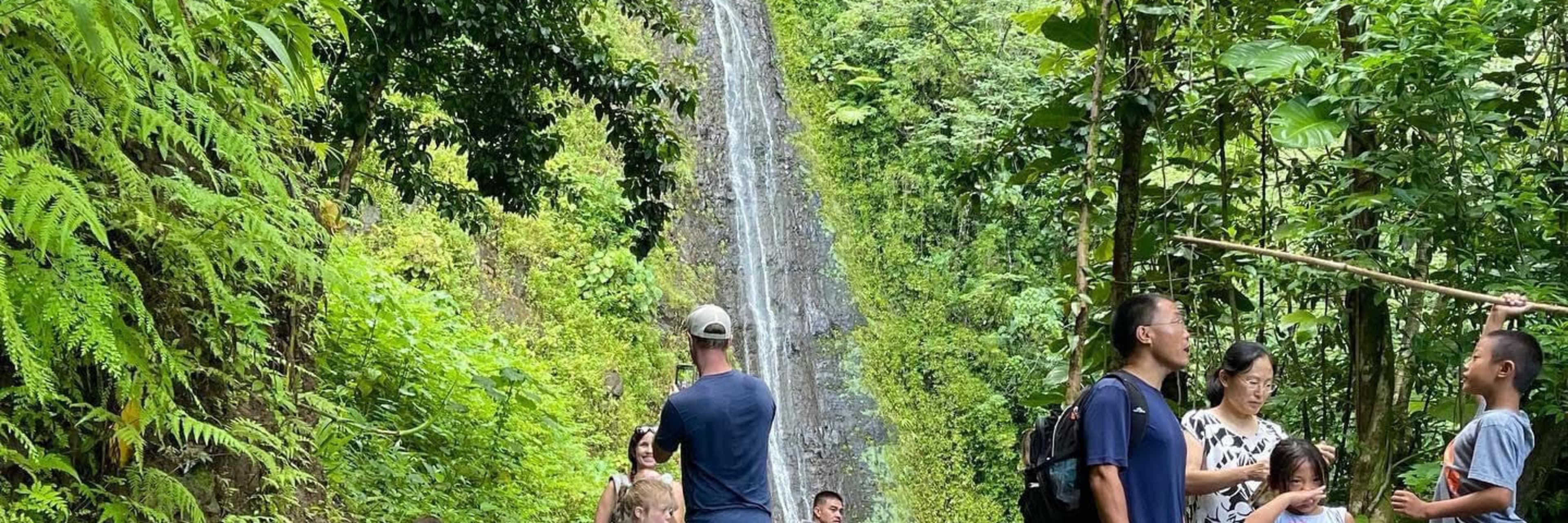 Rainforest Waterfall