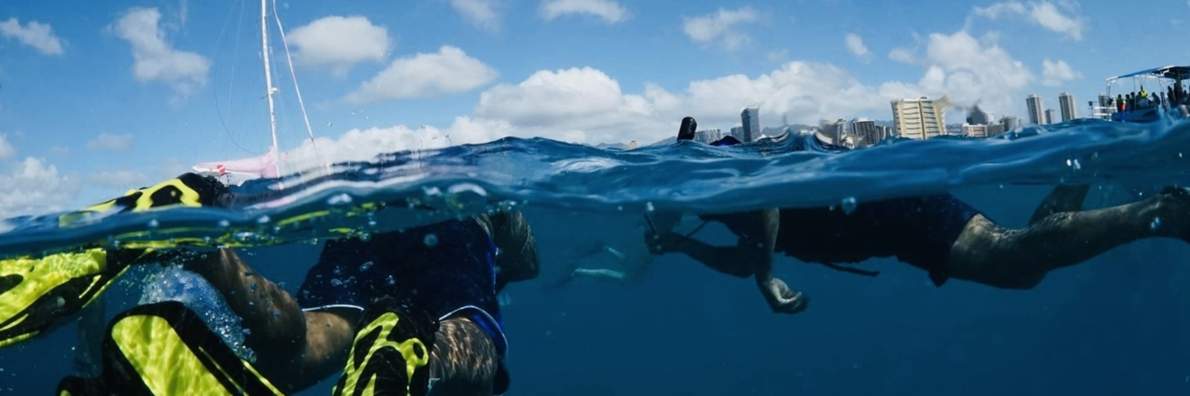 Waikiki Snorkel