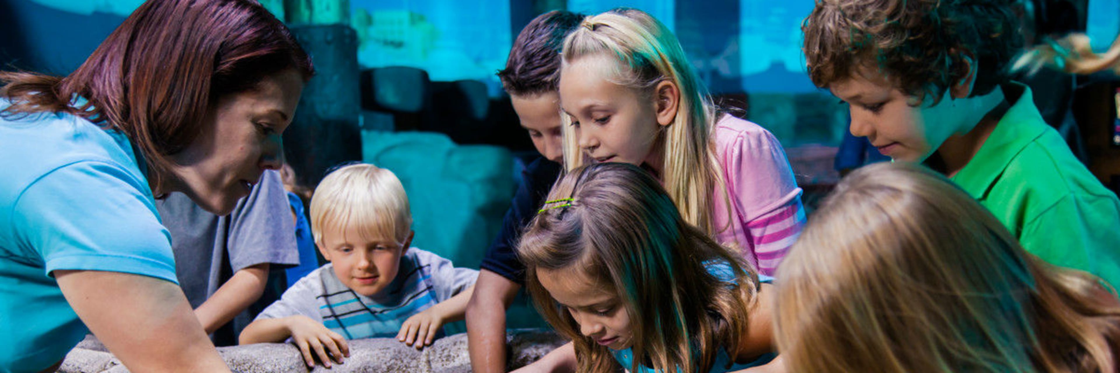 SEA LIFE Aquarium Orlando | Go Orlando Pass