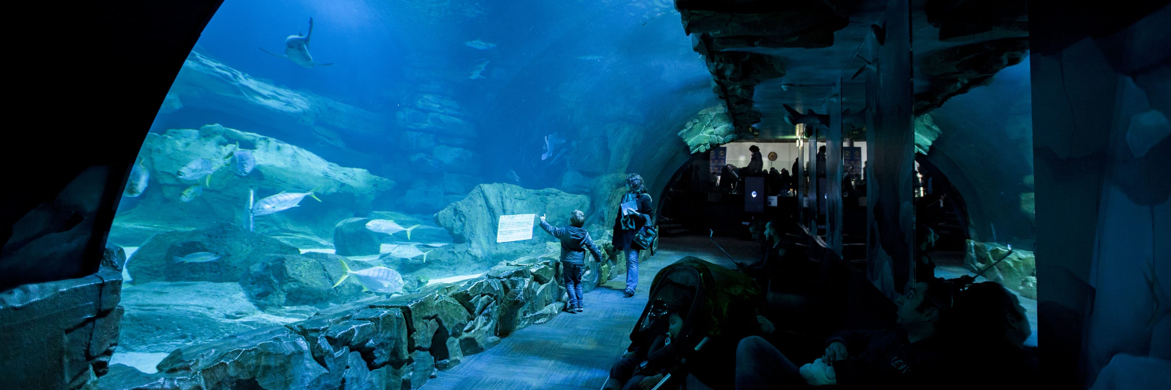 Aquarium de Paris - Cinéaqua