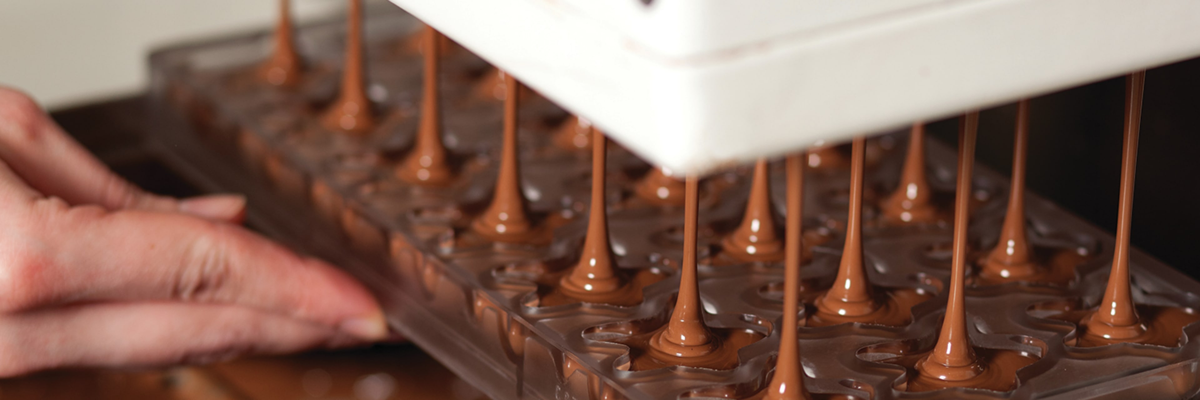 Choco Story - Gourmet Chocolate Museum