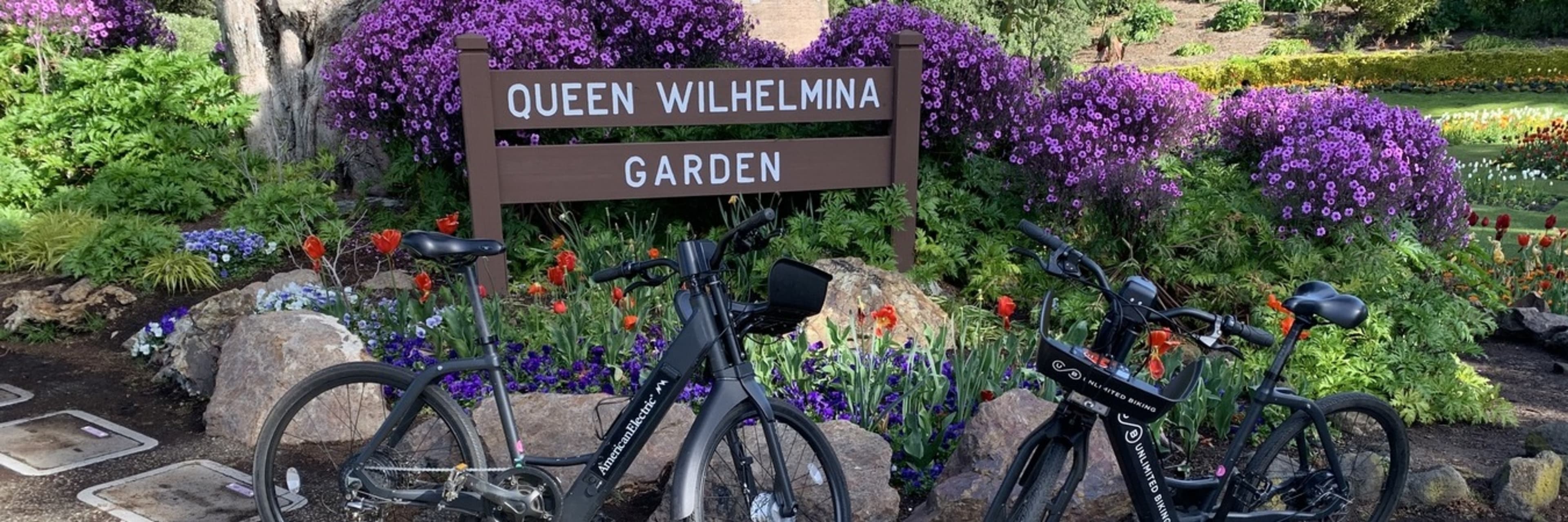 GoldenGate Park Bike Tour