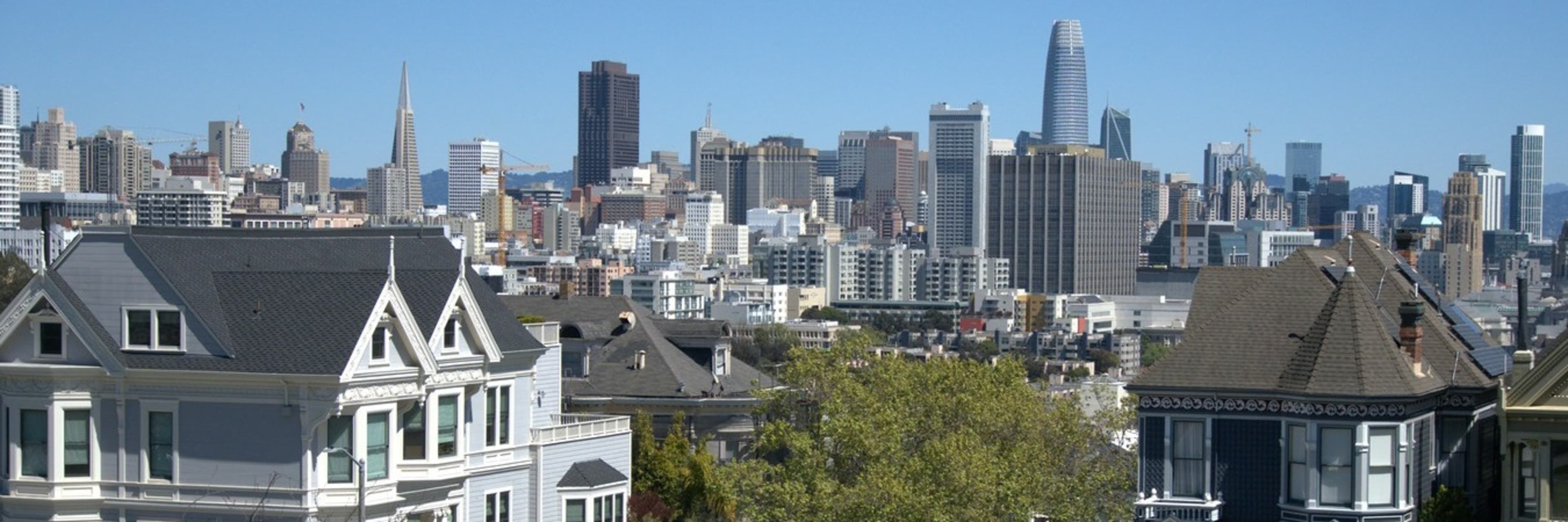 View of the San Francisco skyline from Alamo Square park.