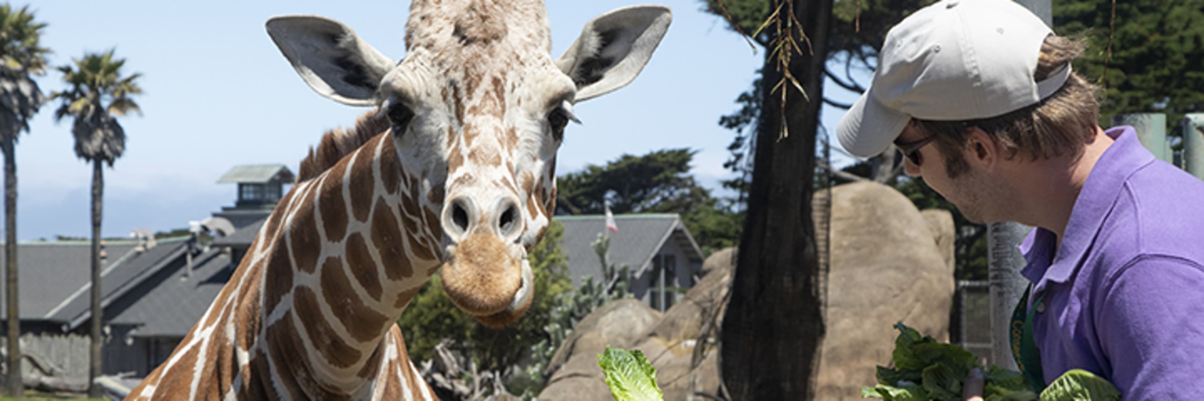 San Francisco Zoo & Gardens