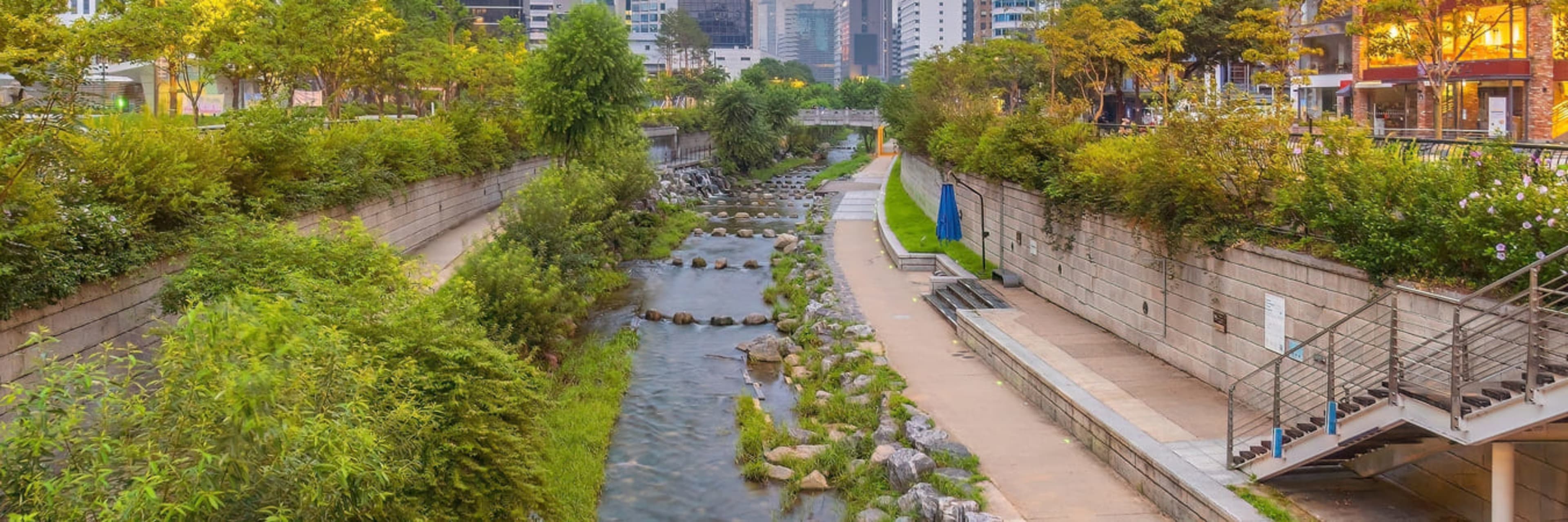 Cheonggyecheon stream in downtown Seoul.