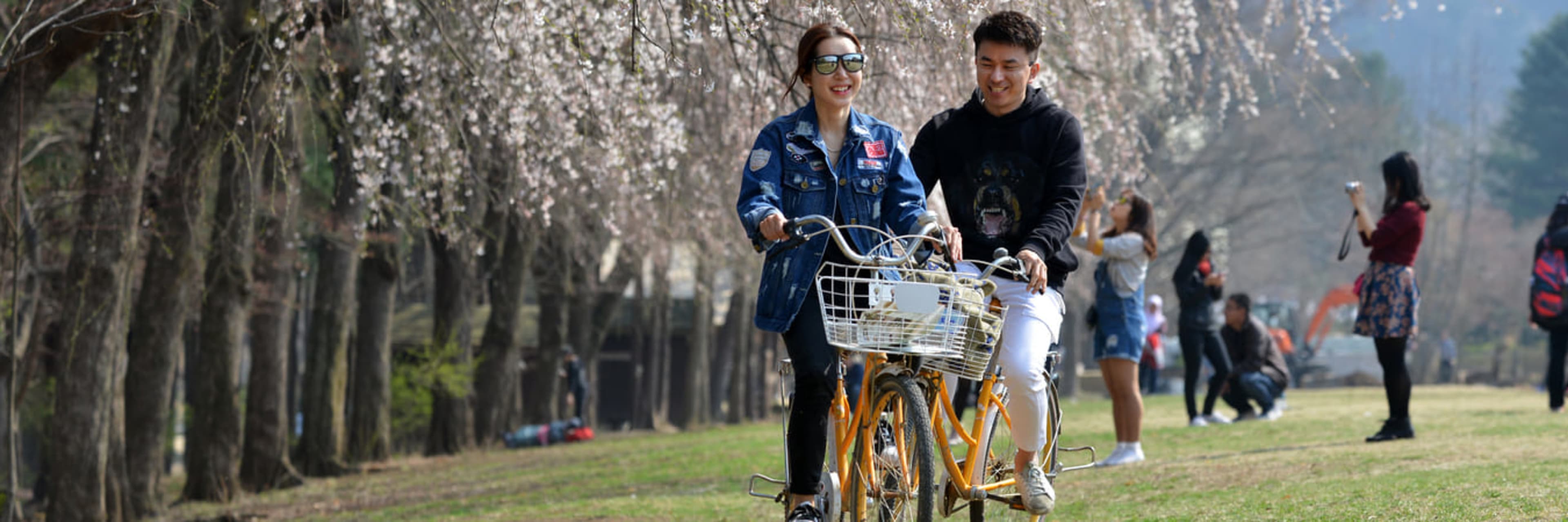 Couple cycling on Nami Island in spring