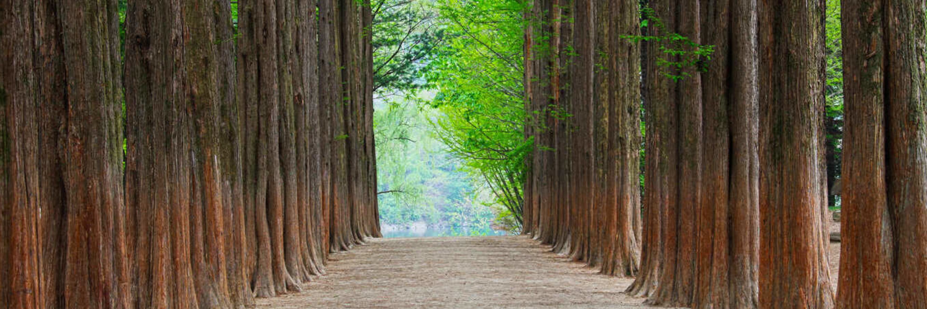 Nami Island