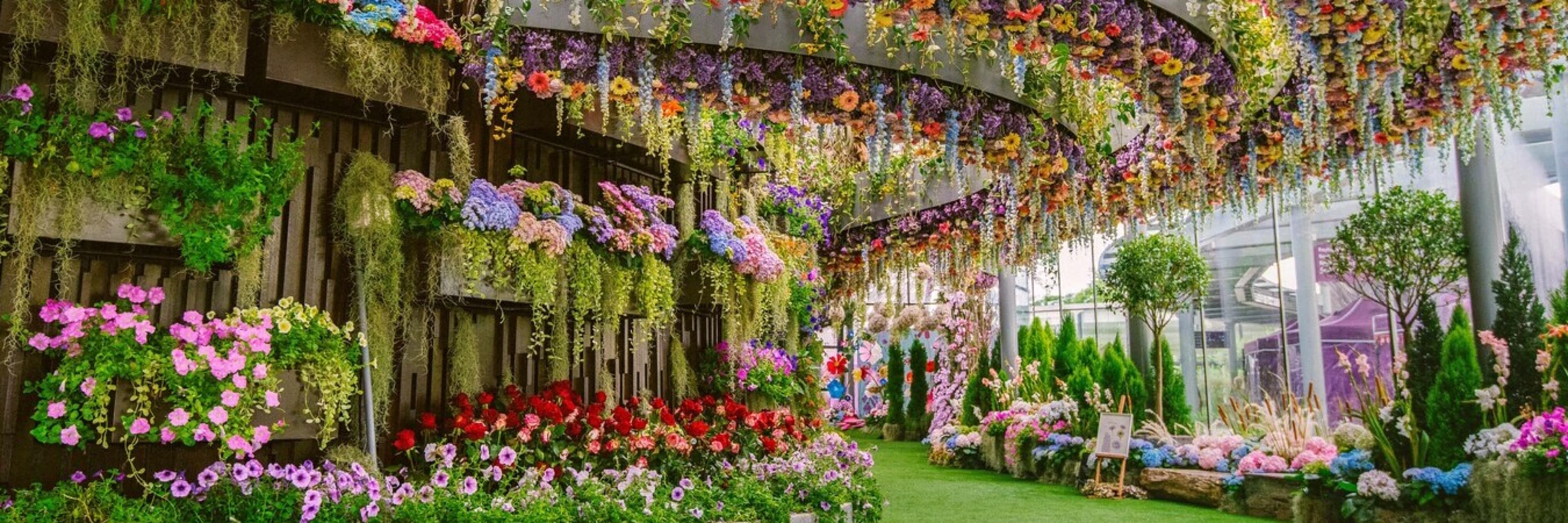 Floral Fantasy, Singapore