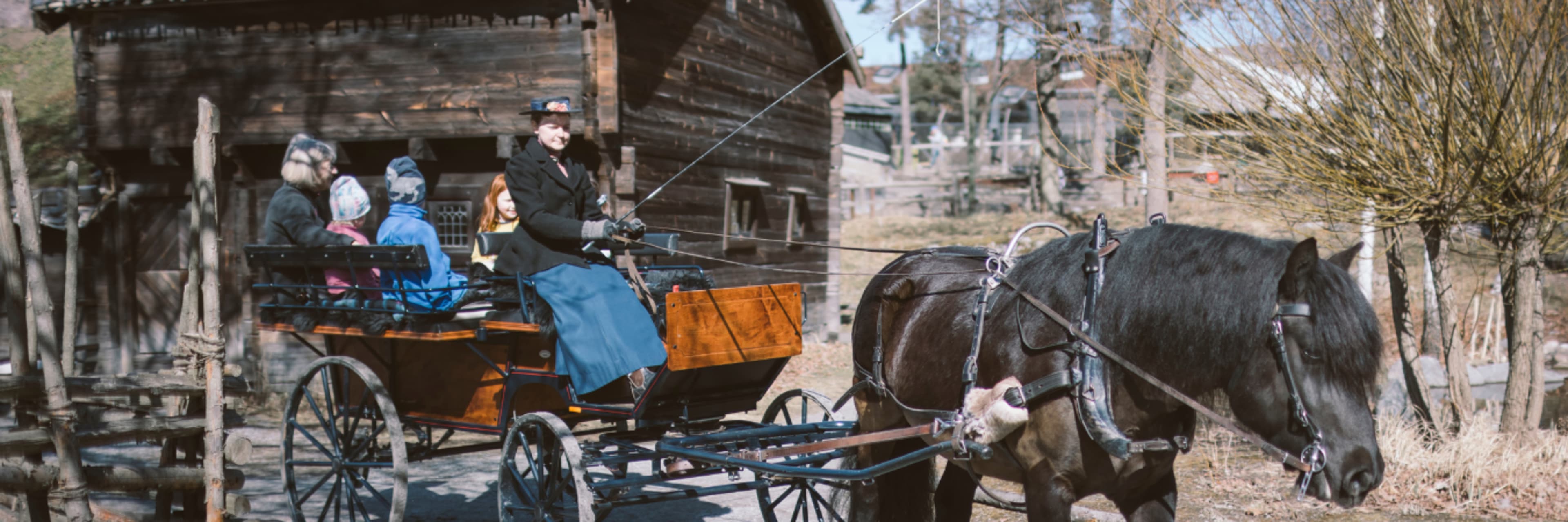 Skansen carousel