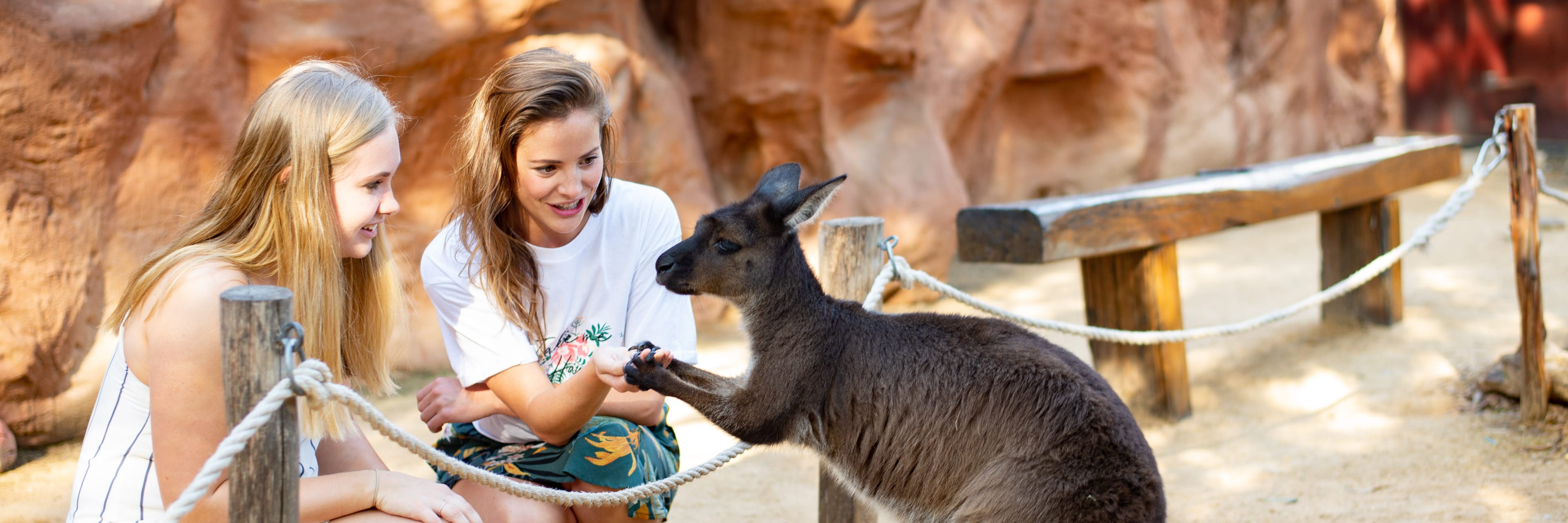 WILD LIFE Sydney Zoo