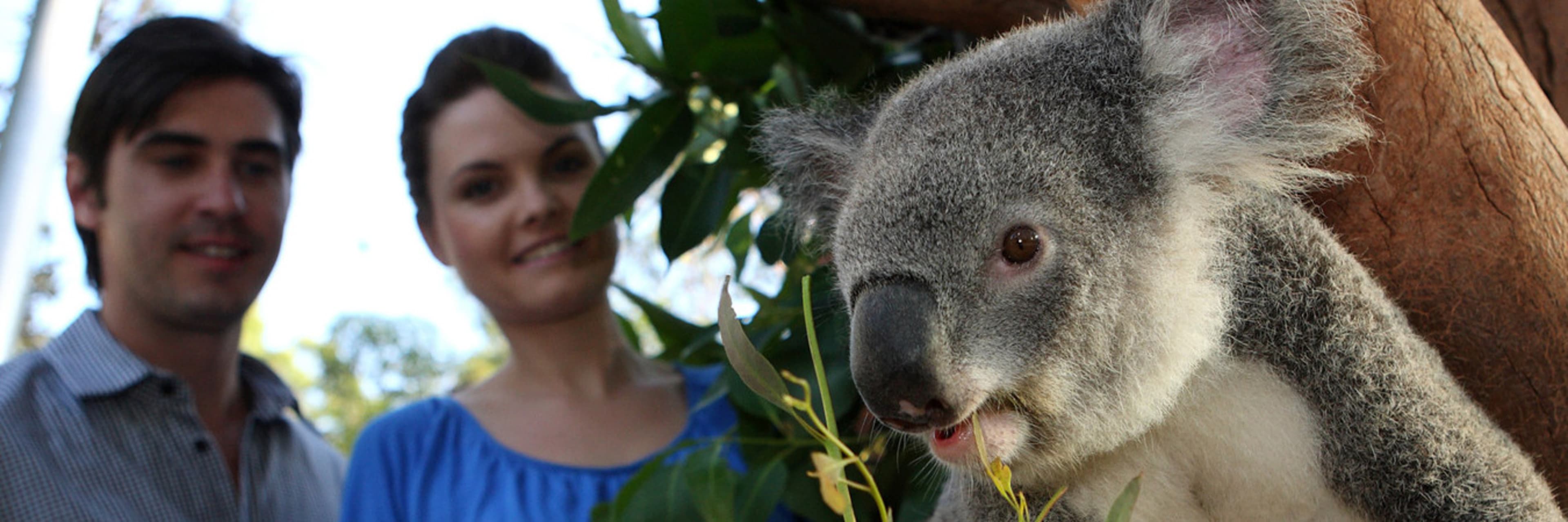 Taronga Zoo, Sydney