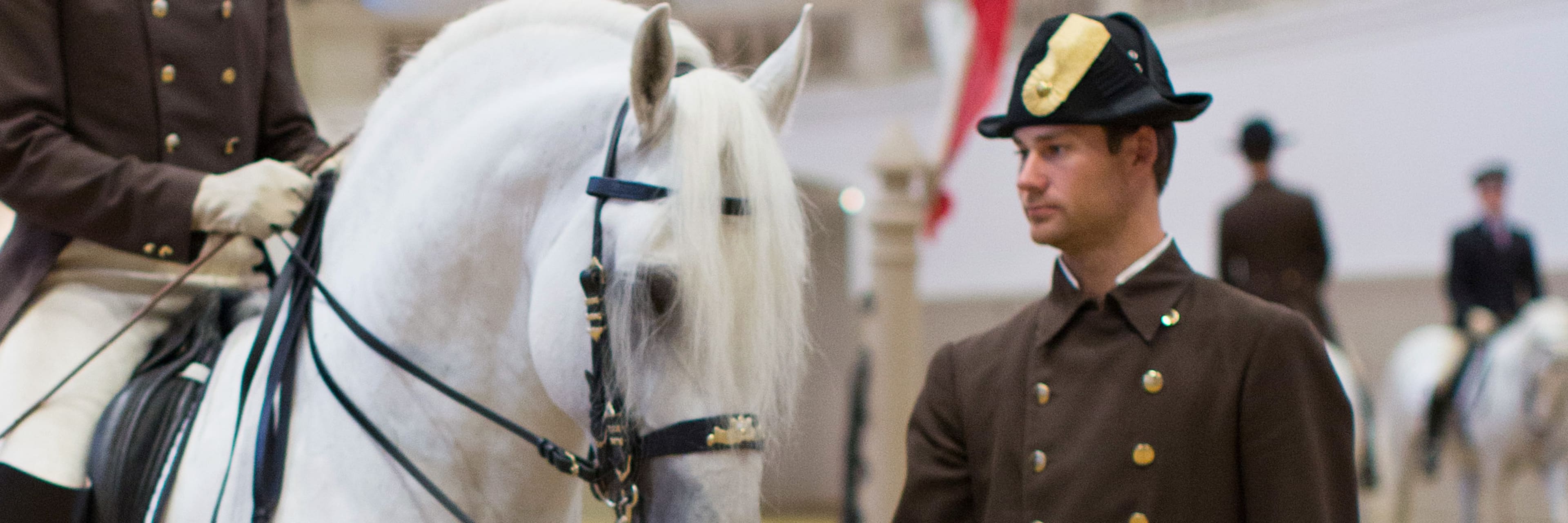 Spanish Riding School