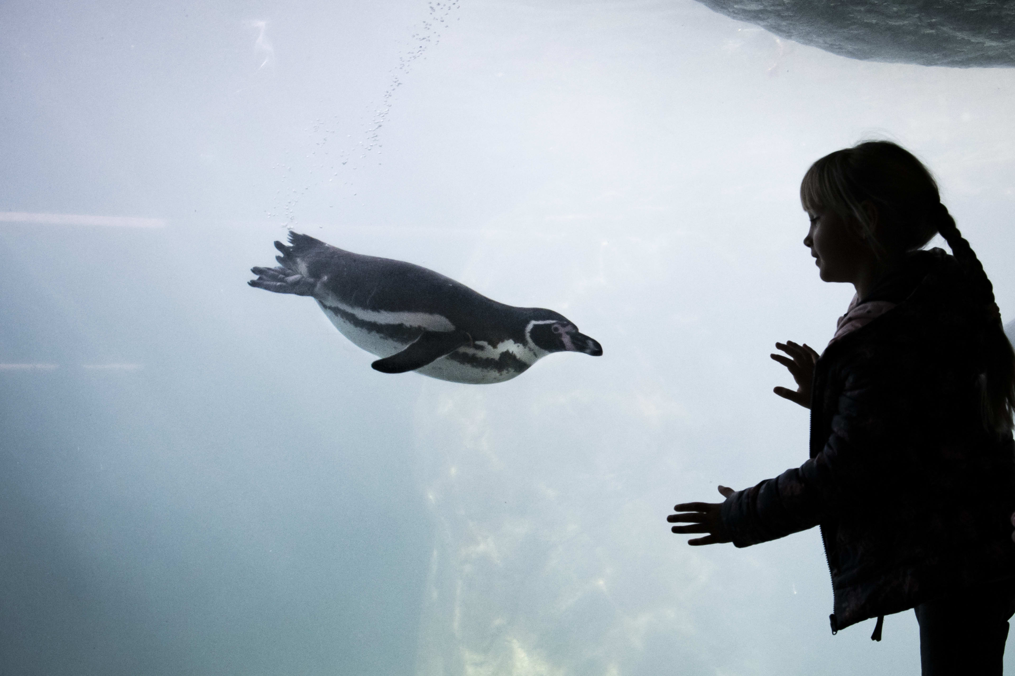 Barcelona Zoo