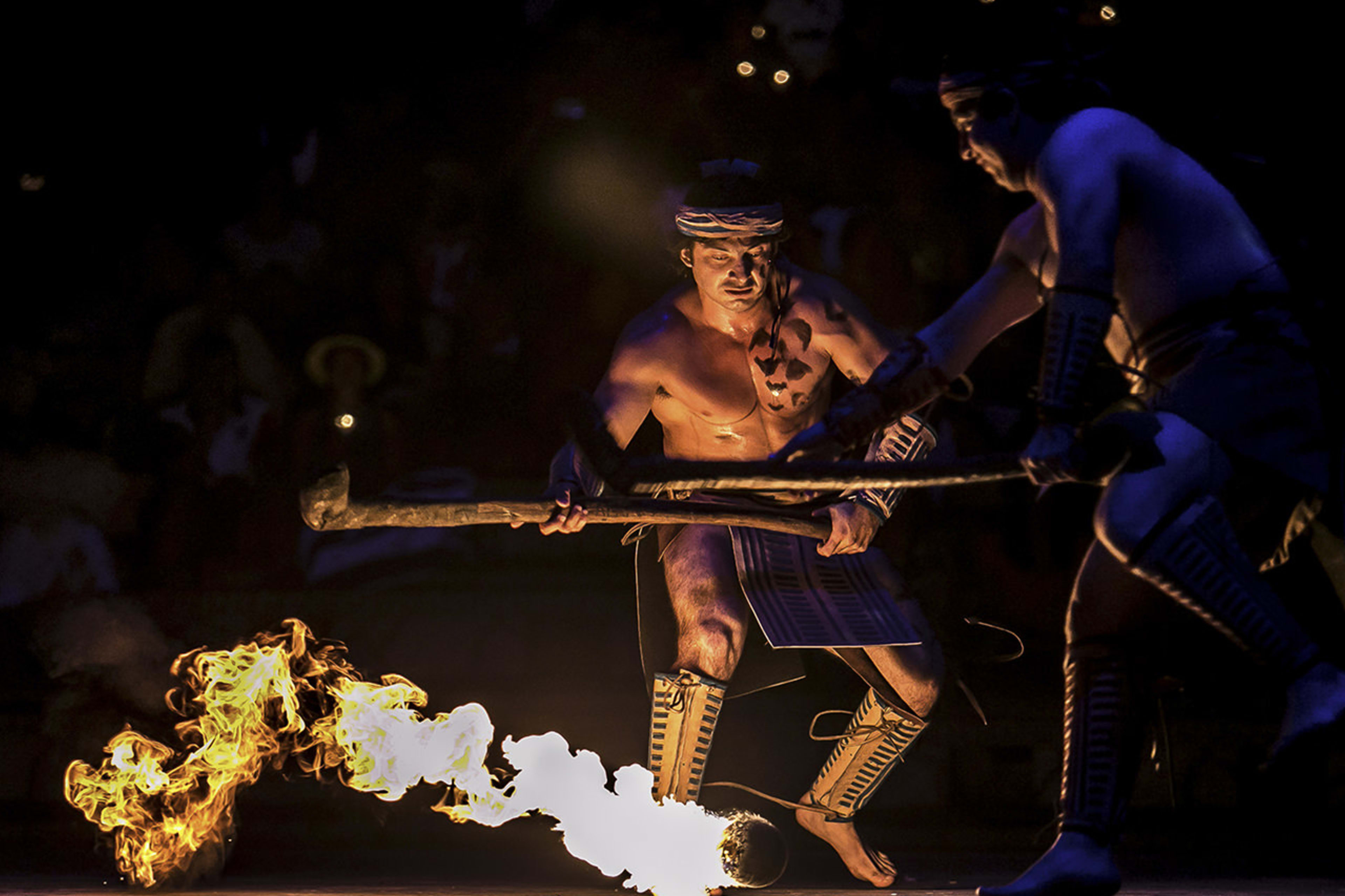 Xcaret Park Admission & Cancun Scenic Tower