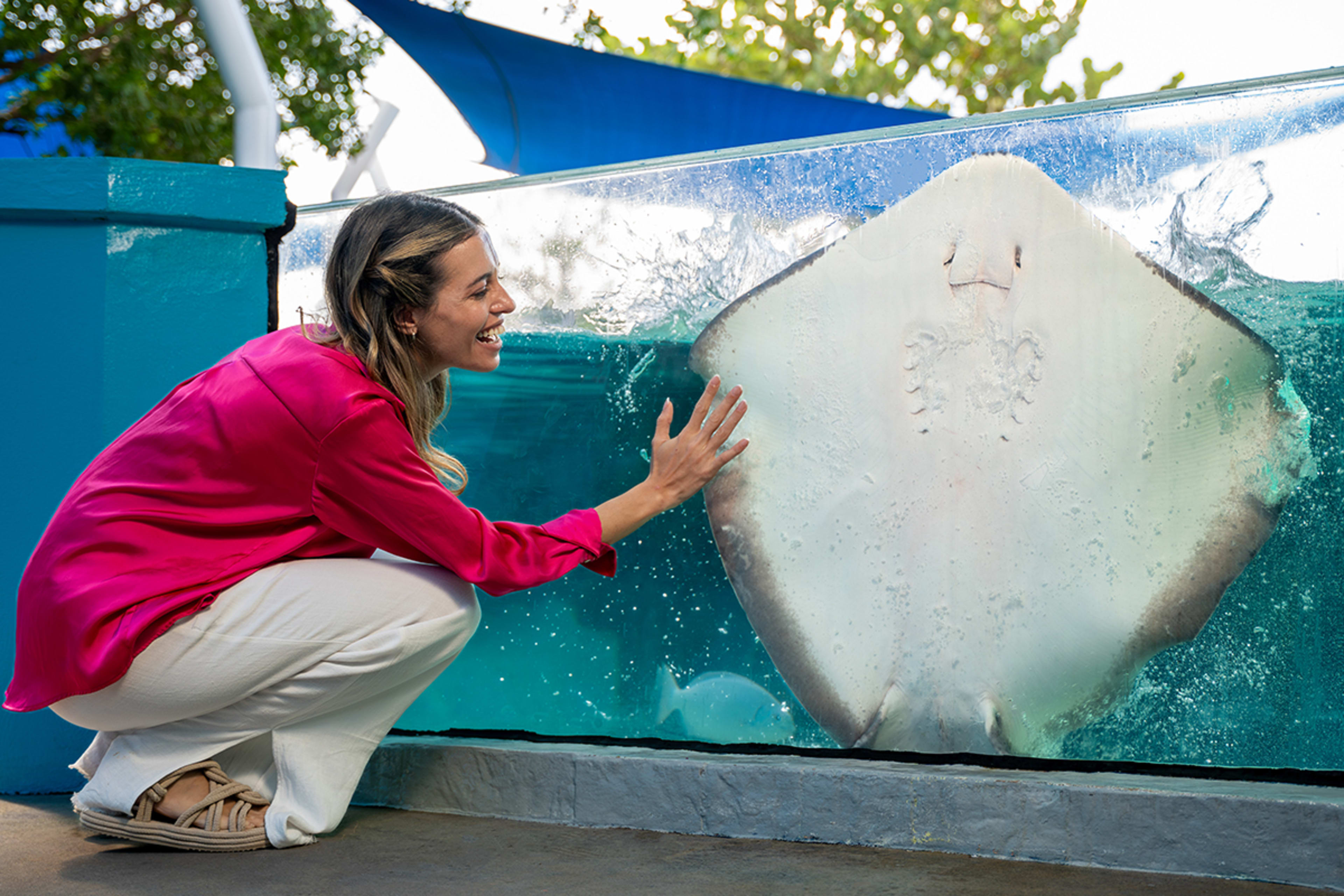 Interactive Aquarium Cancun