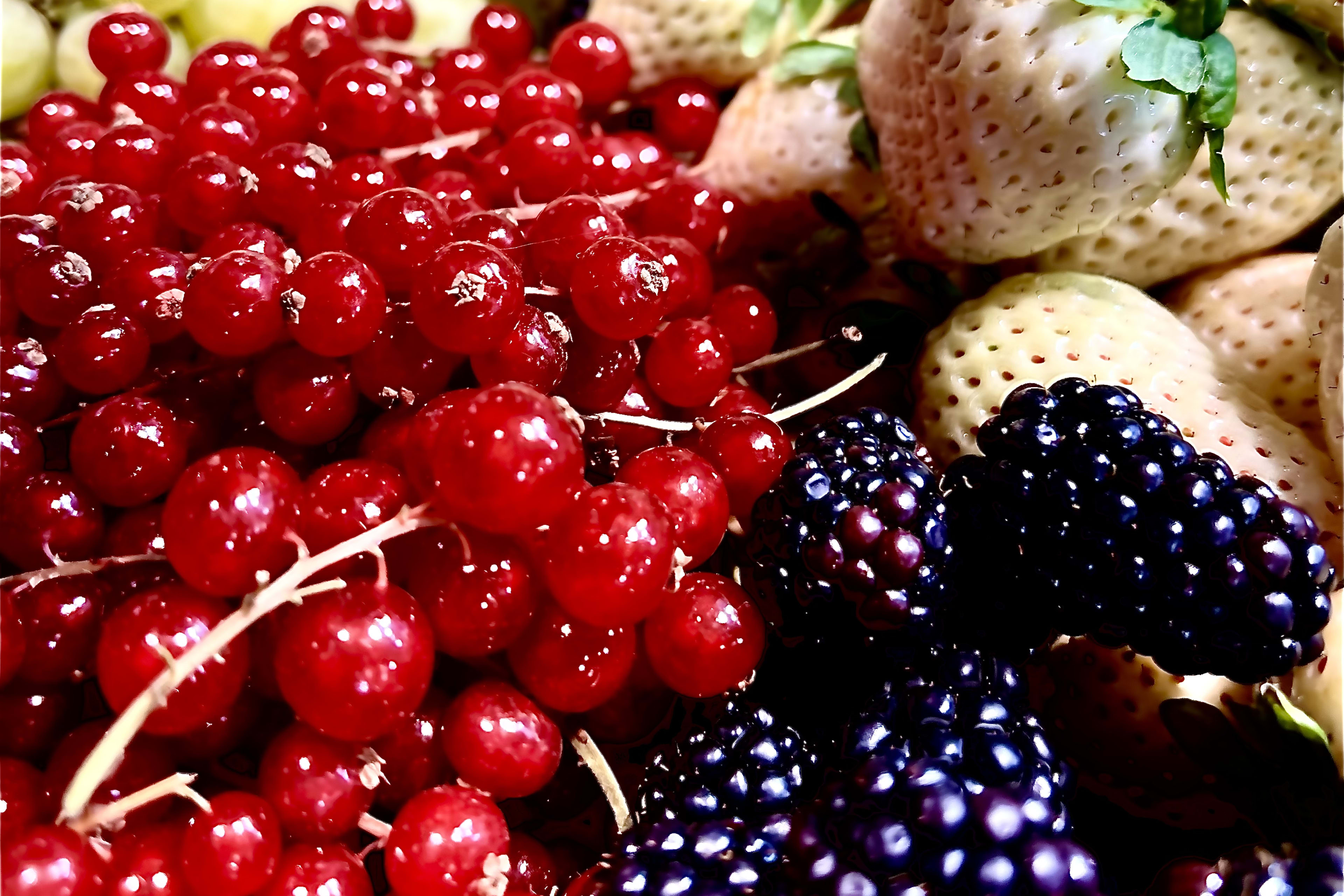 Madrid Markets Tour: Discover Local Tapas & Flavours