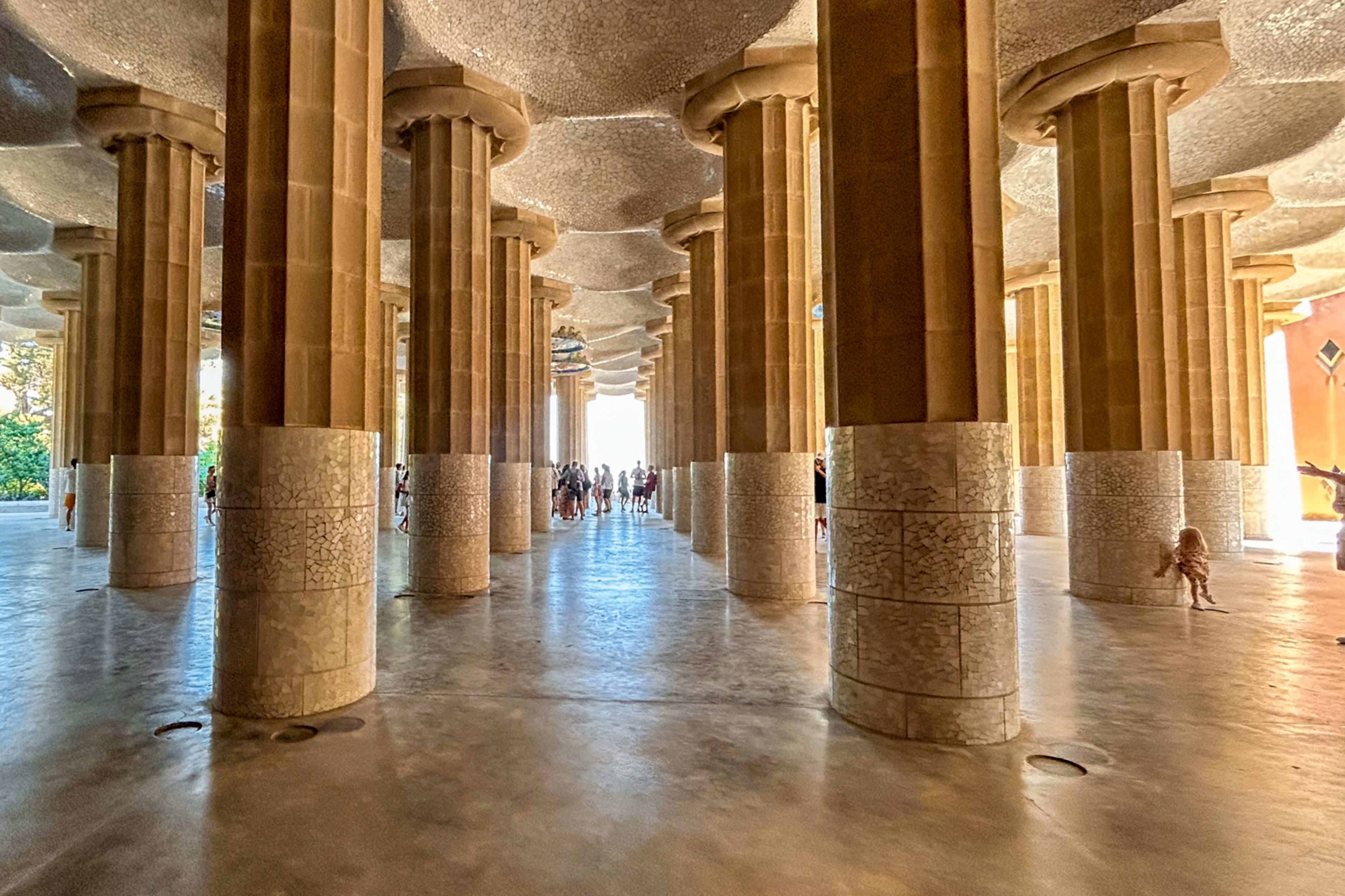 Entrée accompagnée et visite du Parc Güell