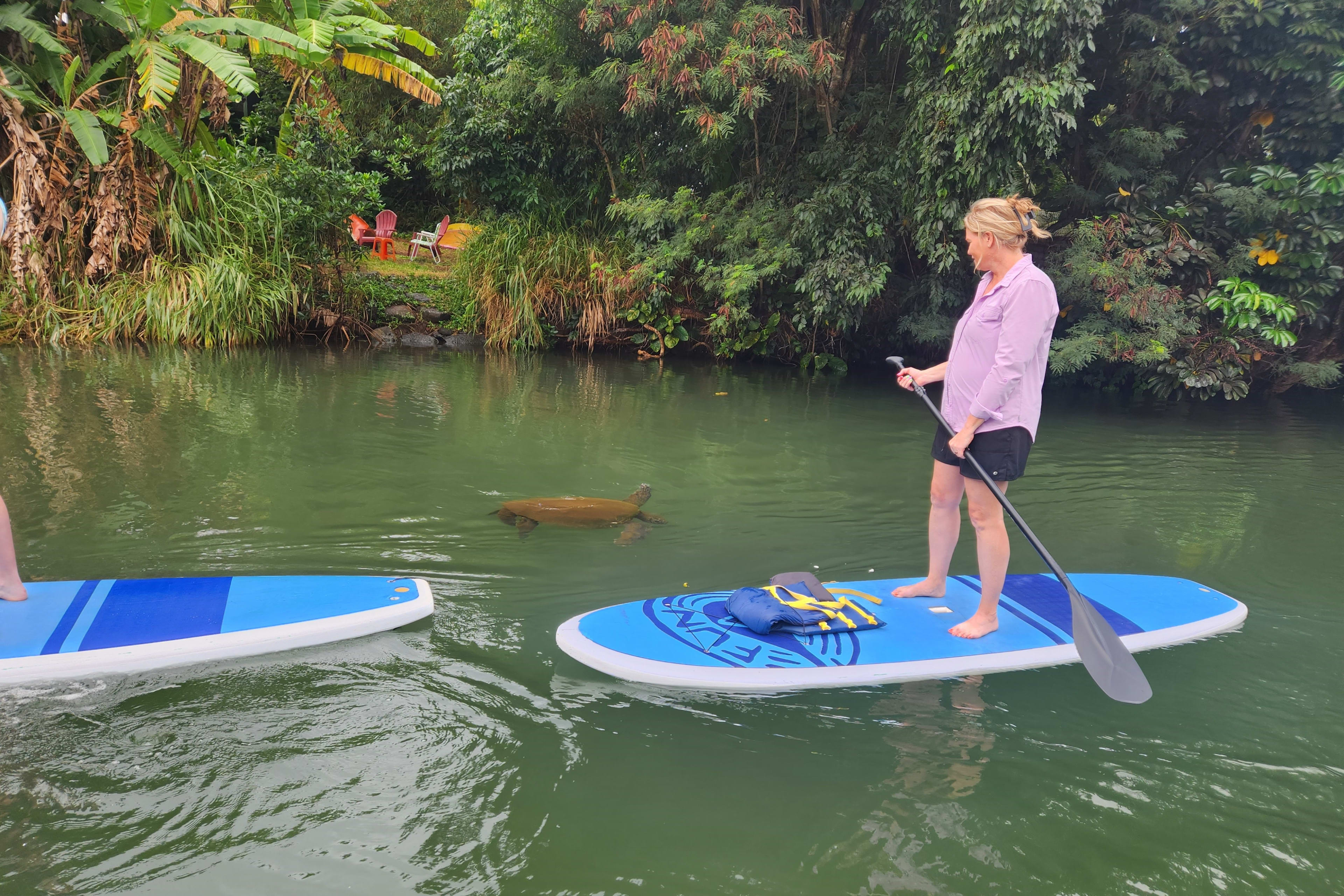 スタンドアップパドルボード（SUP）で大自然とウミガメ観察ツアー | Go