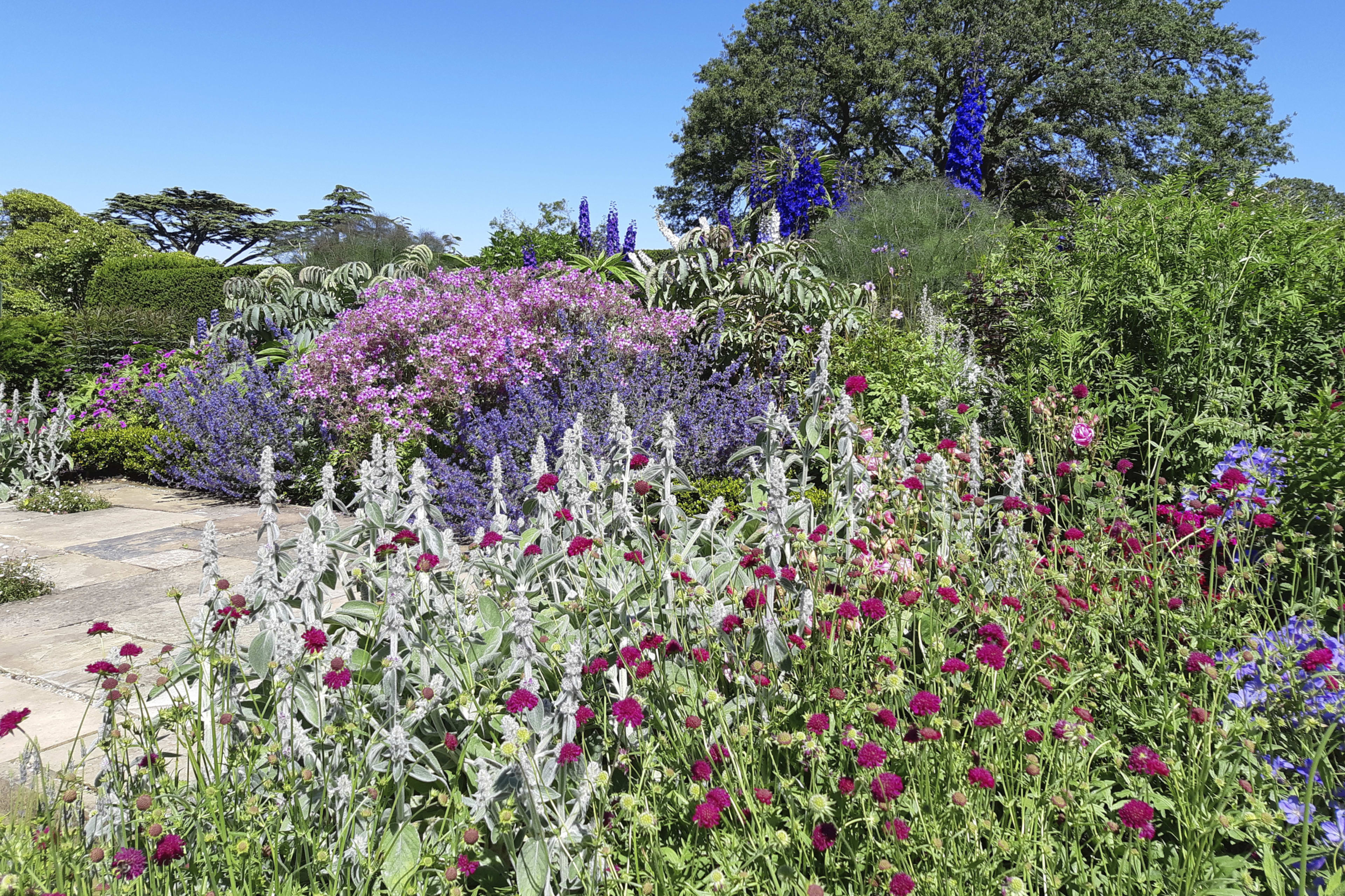 Hillsborough Castle Gardens Flowers
