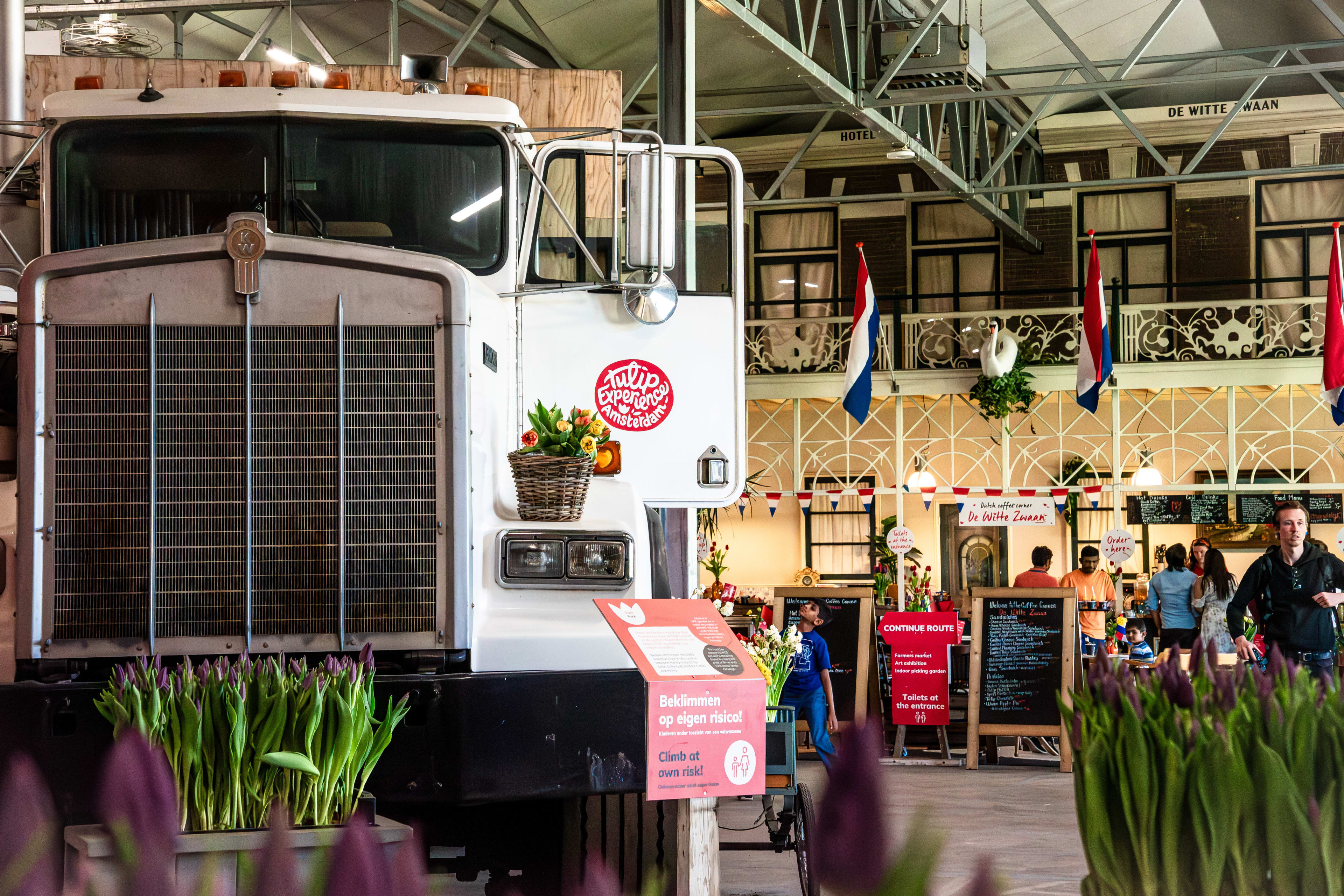 Half Day Tulip Experience Tour