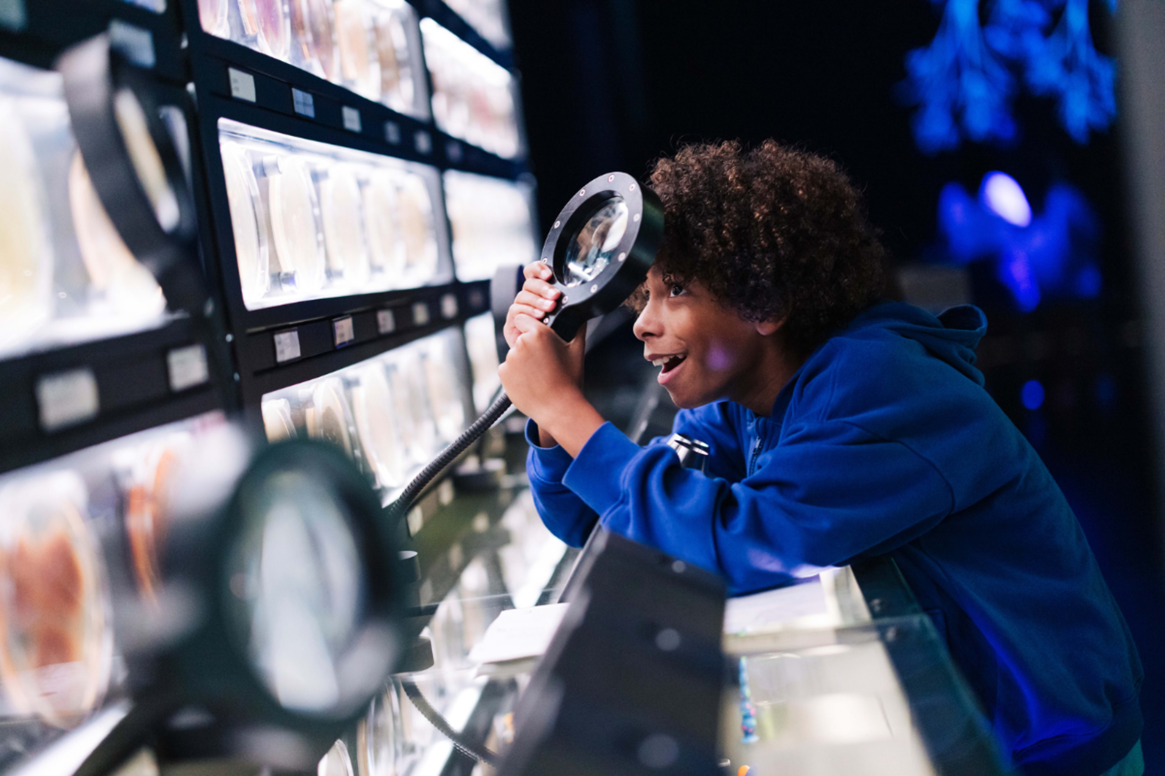 ARTIS-Micropia Ámsterdam