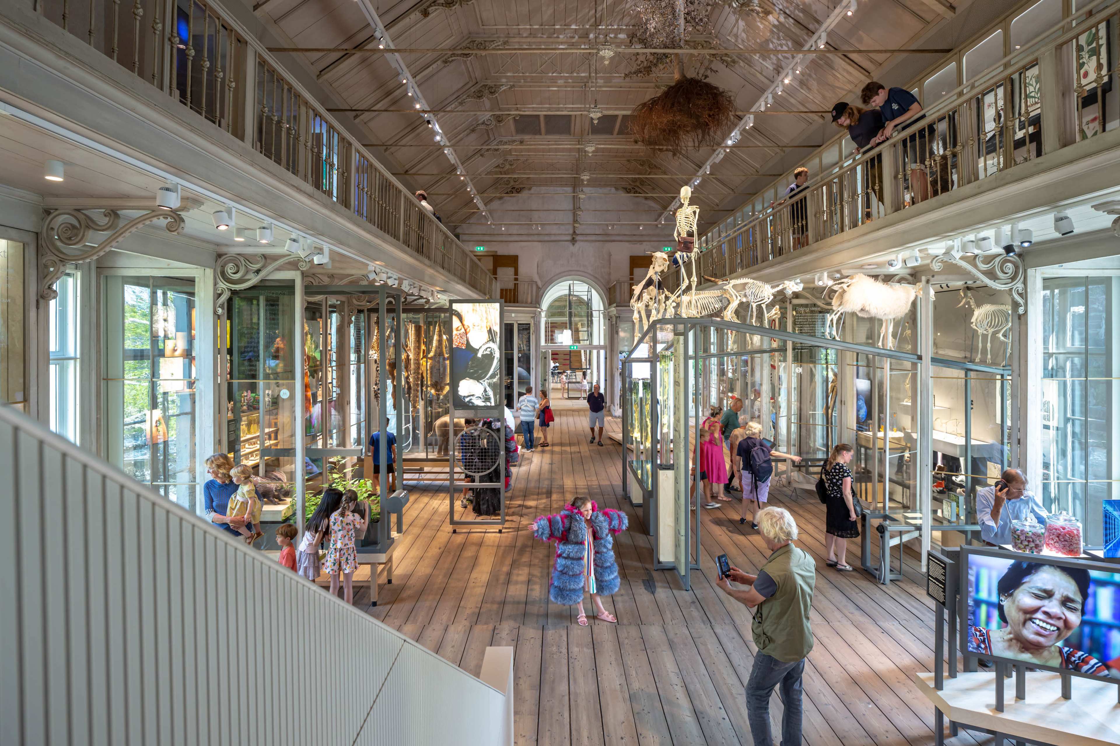 ARTIS-Groote Museum