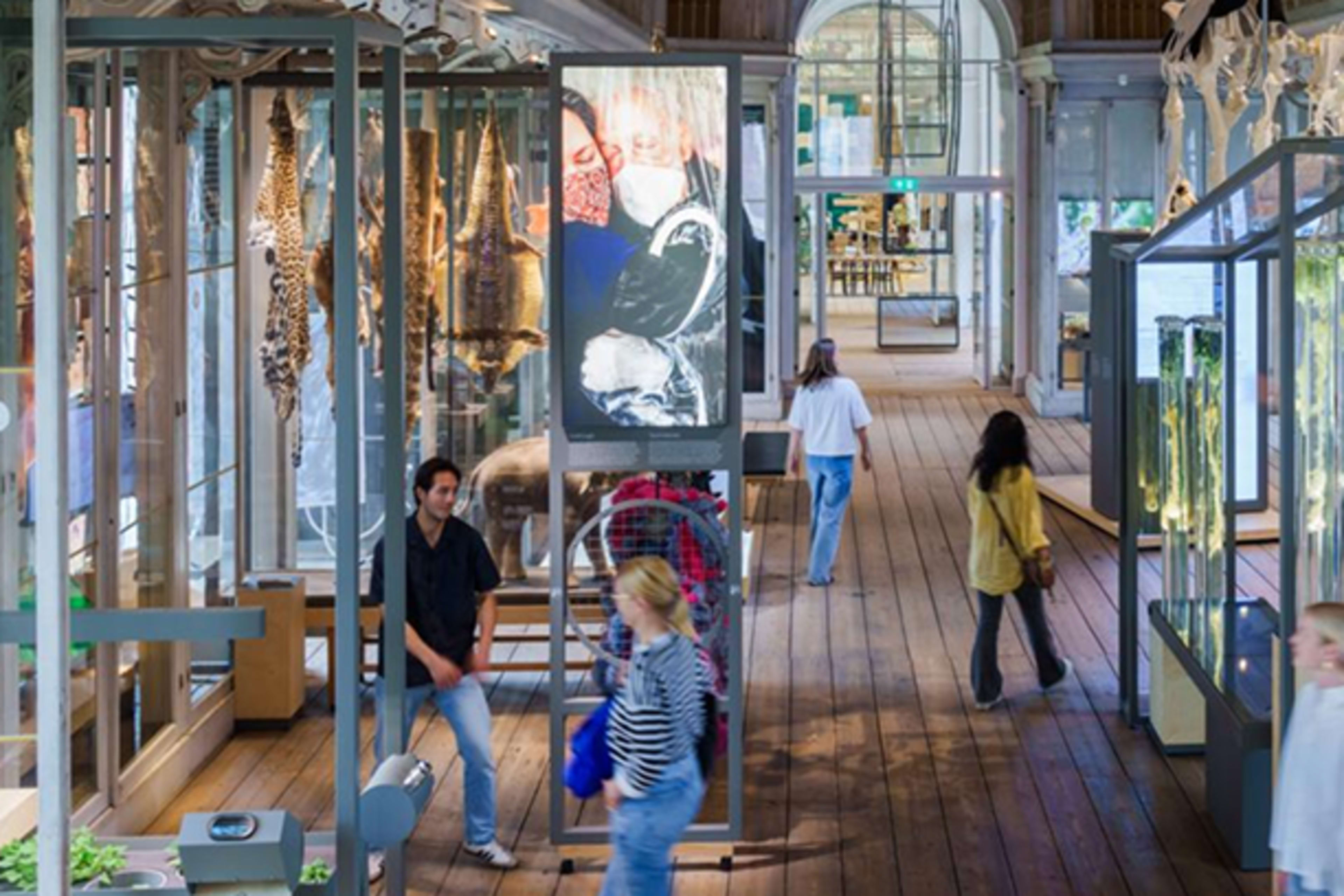 ARTIS-Groote Museum