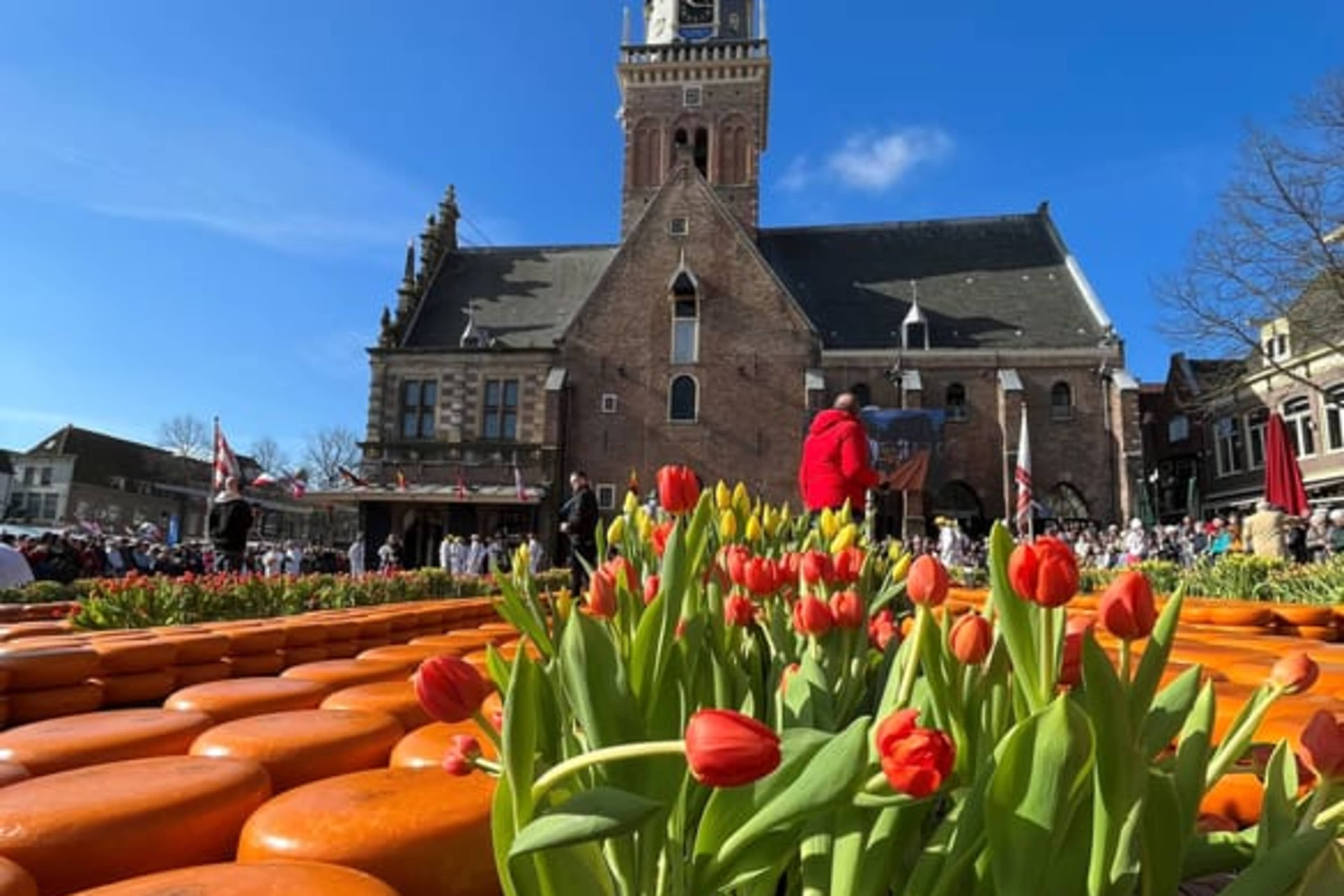 Mercado de quesos de Gouda o Alkmaar